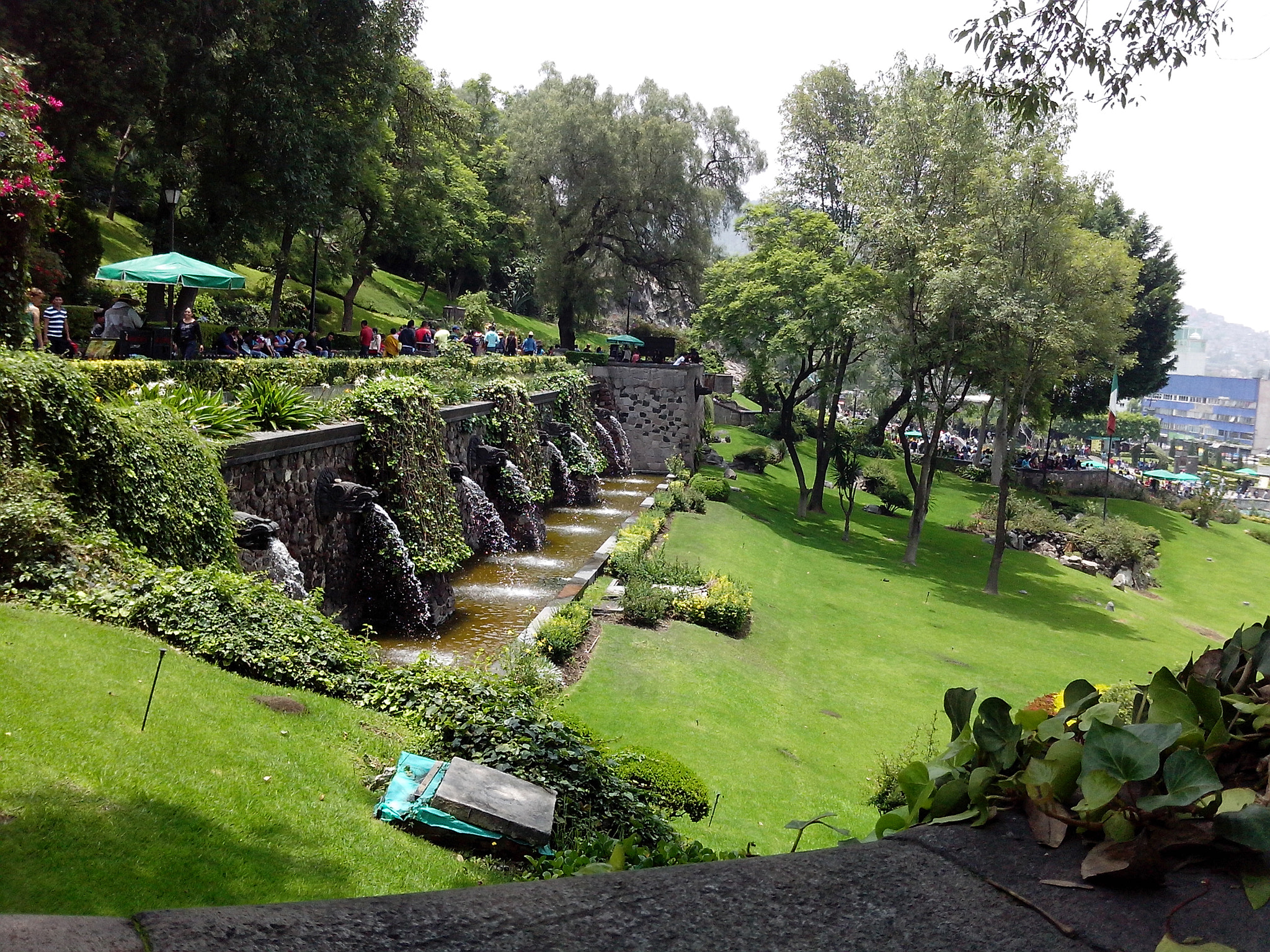 Motorola RAZR D1 sample photo. Jardinbasilica photography