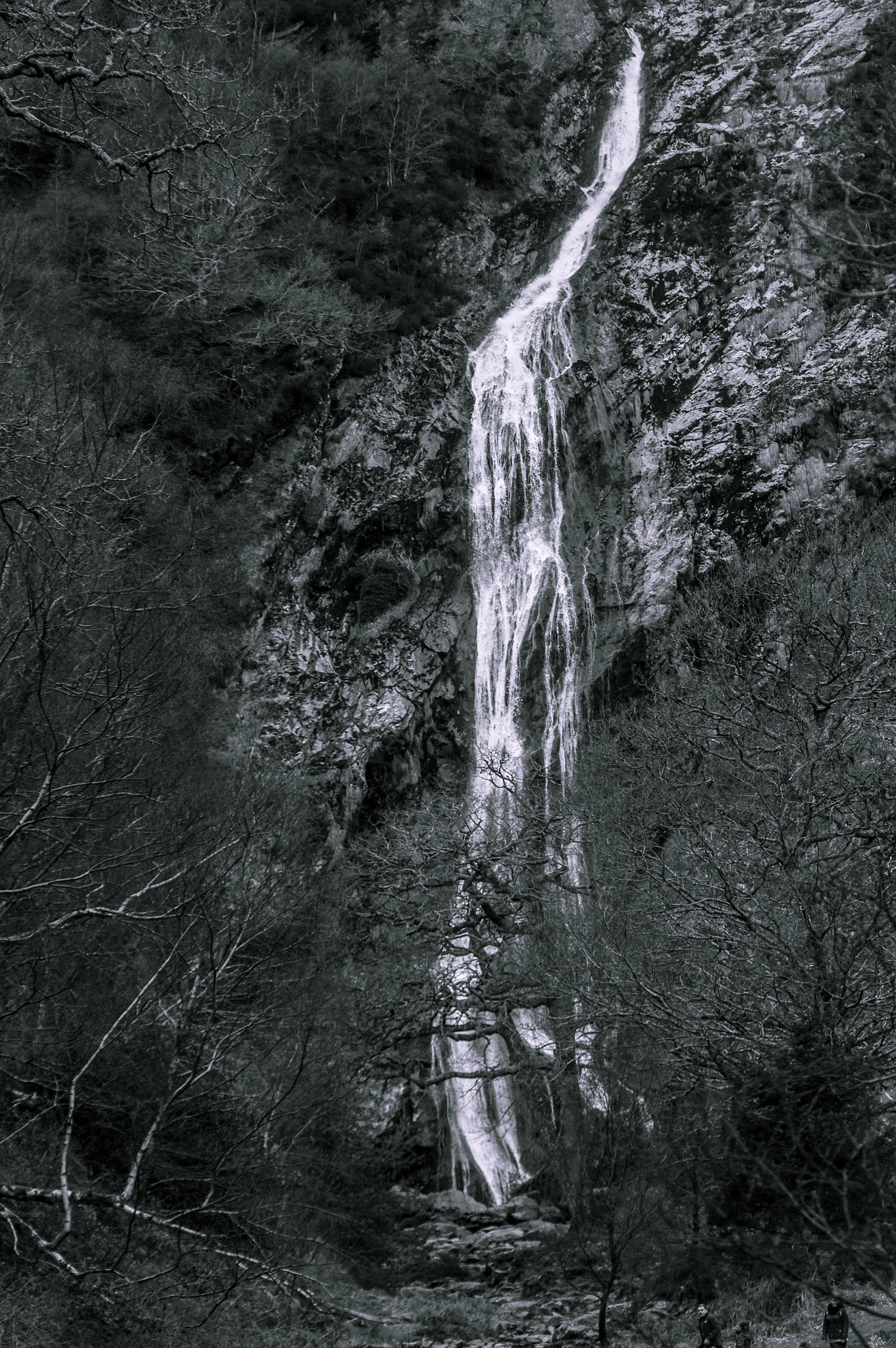 Sony SLT-A55 (SLT-A55V) + Sigma 70-300mm F4-5.6 DL Macro sample photo. Powerscourt waterfall in b&w photography