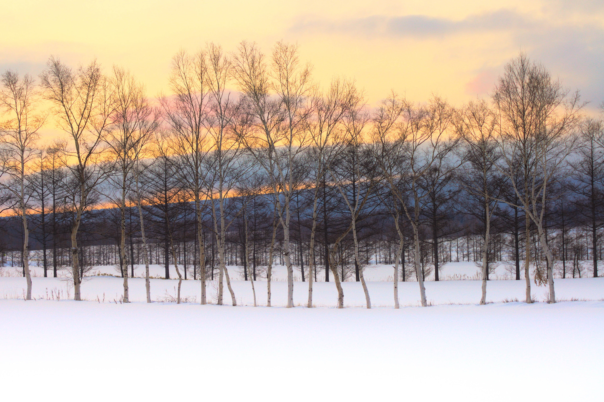 Sony SLT-A33 sample photo. 『 淡い気持ち 』 photography