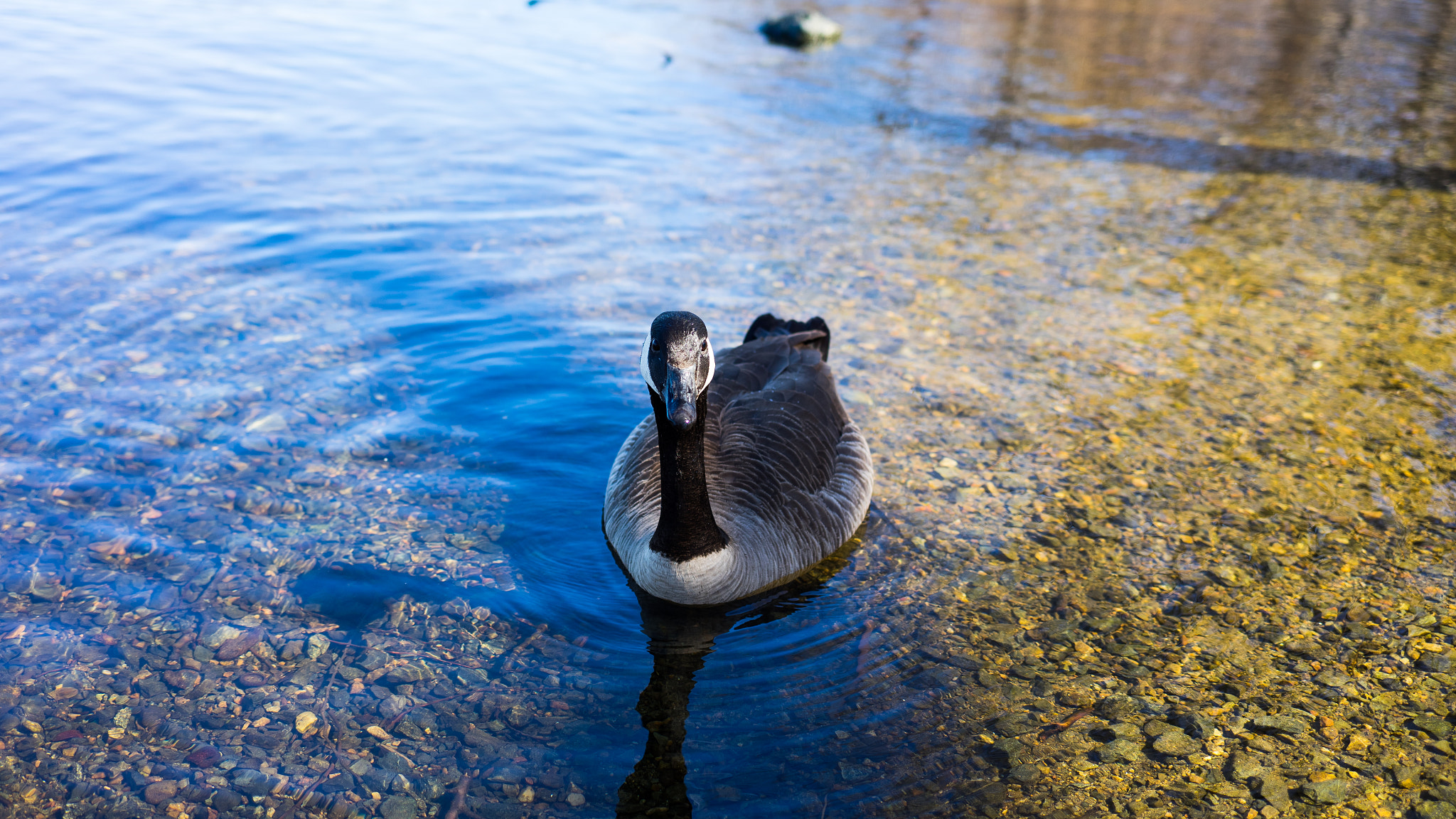 E 35mm F2 sample photo. Warm or cold? photography