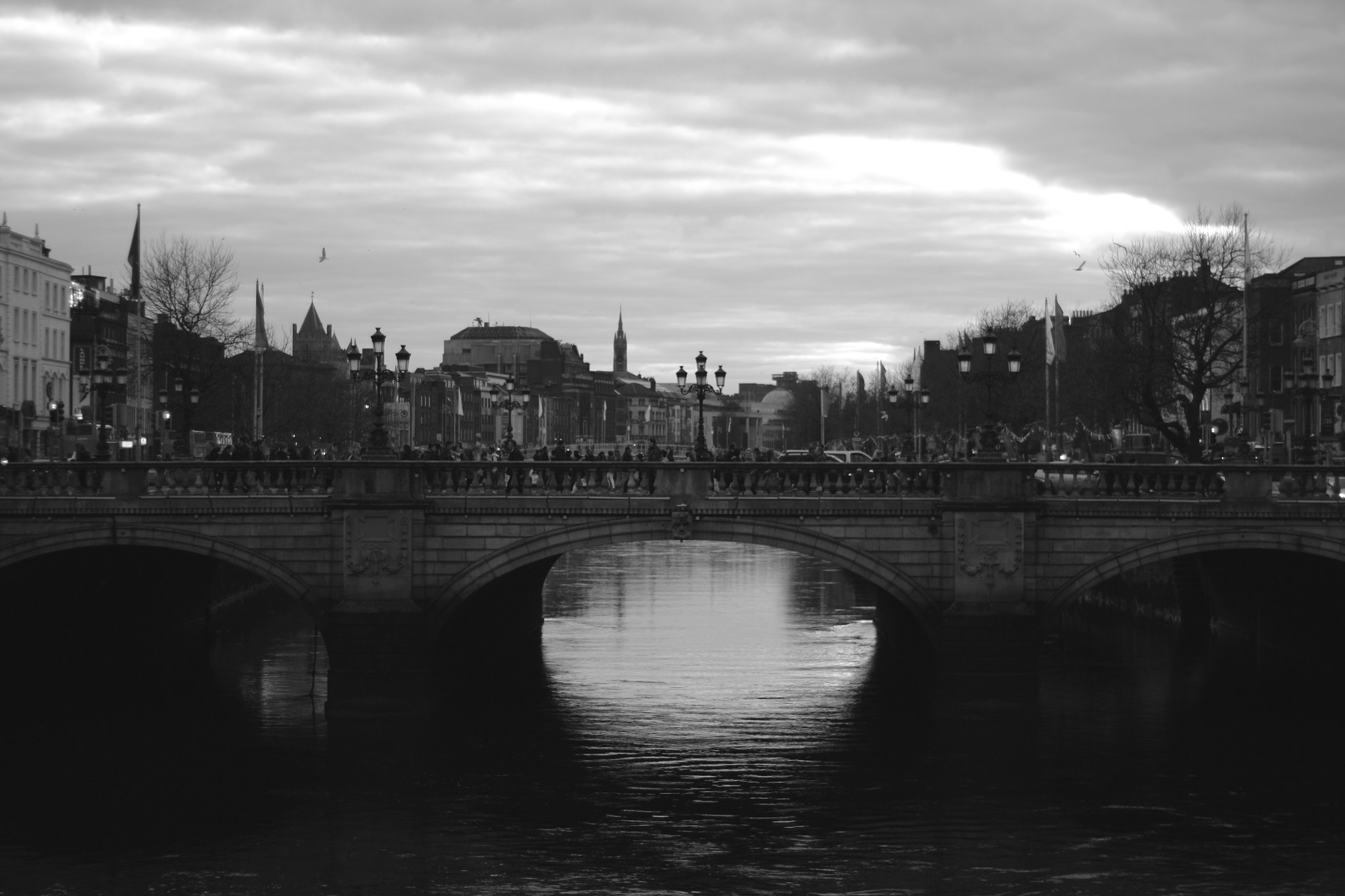 Canon EOS 450D (EOS Rebel XSi / EOS Kiss X2) + Canon 50mm sample photo. O'connell bridge dublin photography