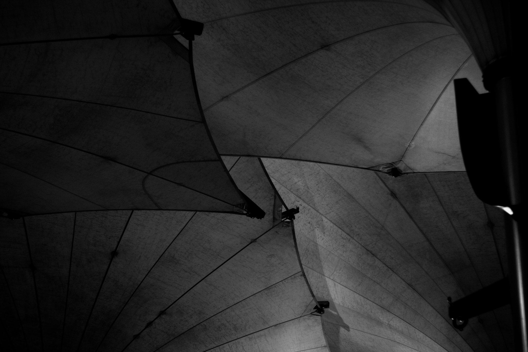 Canon EOS 450D (EOS Rebel XSi / EOS Kiss X2) + Canon 50mm sample photo. Meeting house square umbrellas straight up view photography