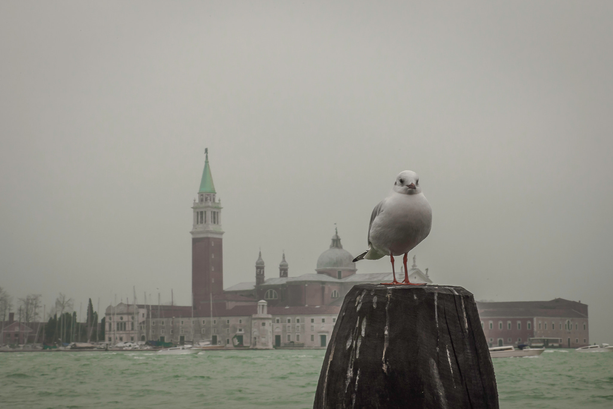 Canon EOS-1D Mark III sample photo. Venezia, san giorgio photography