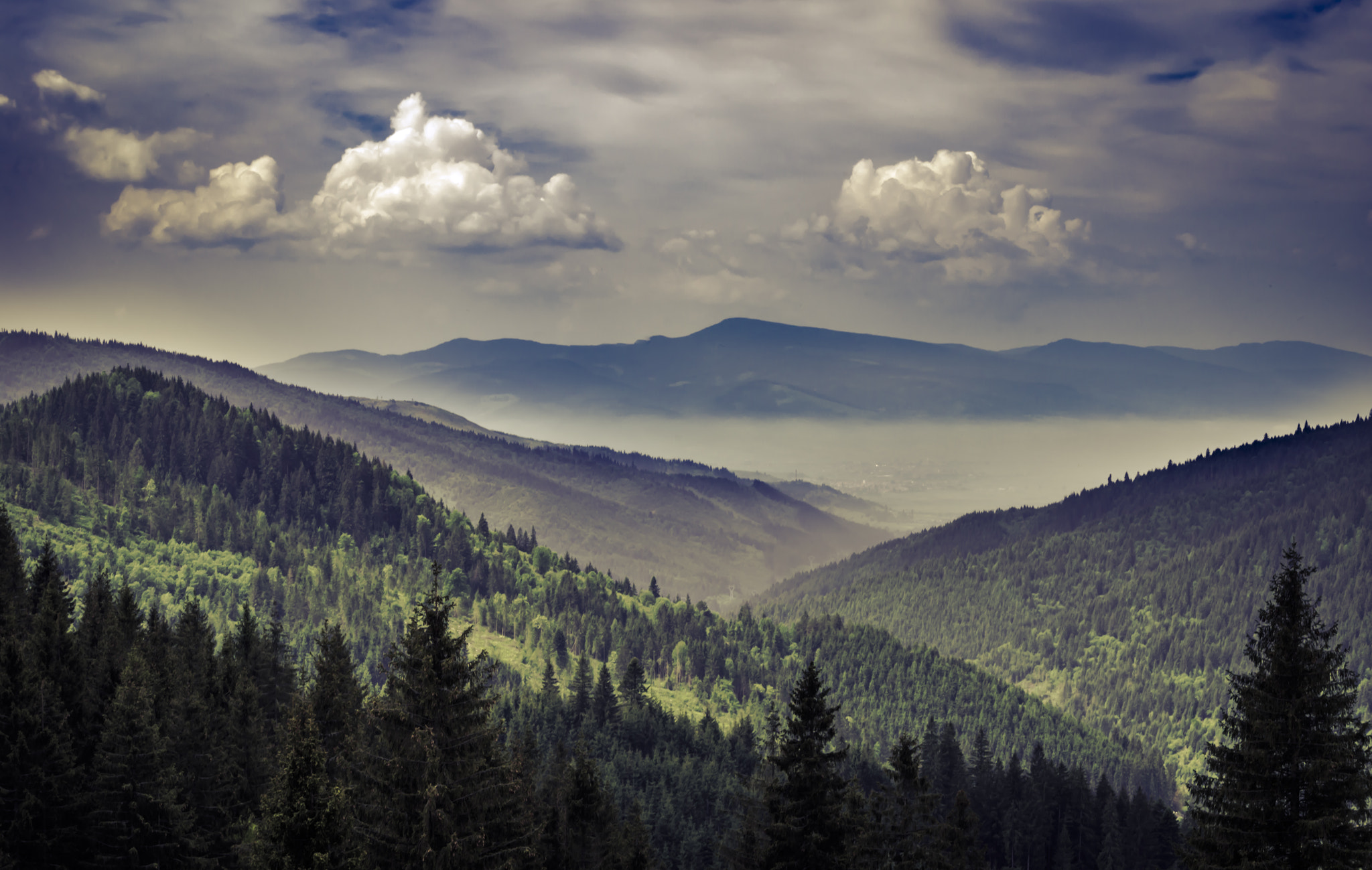 Pentax K-50 sample photo. Foggy valley photography