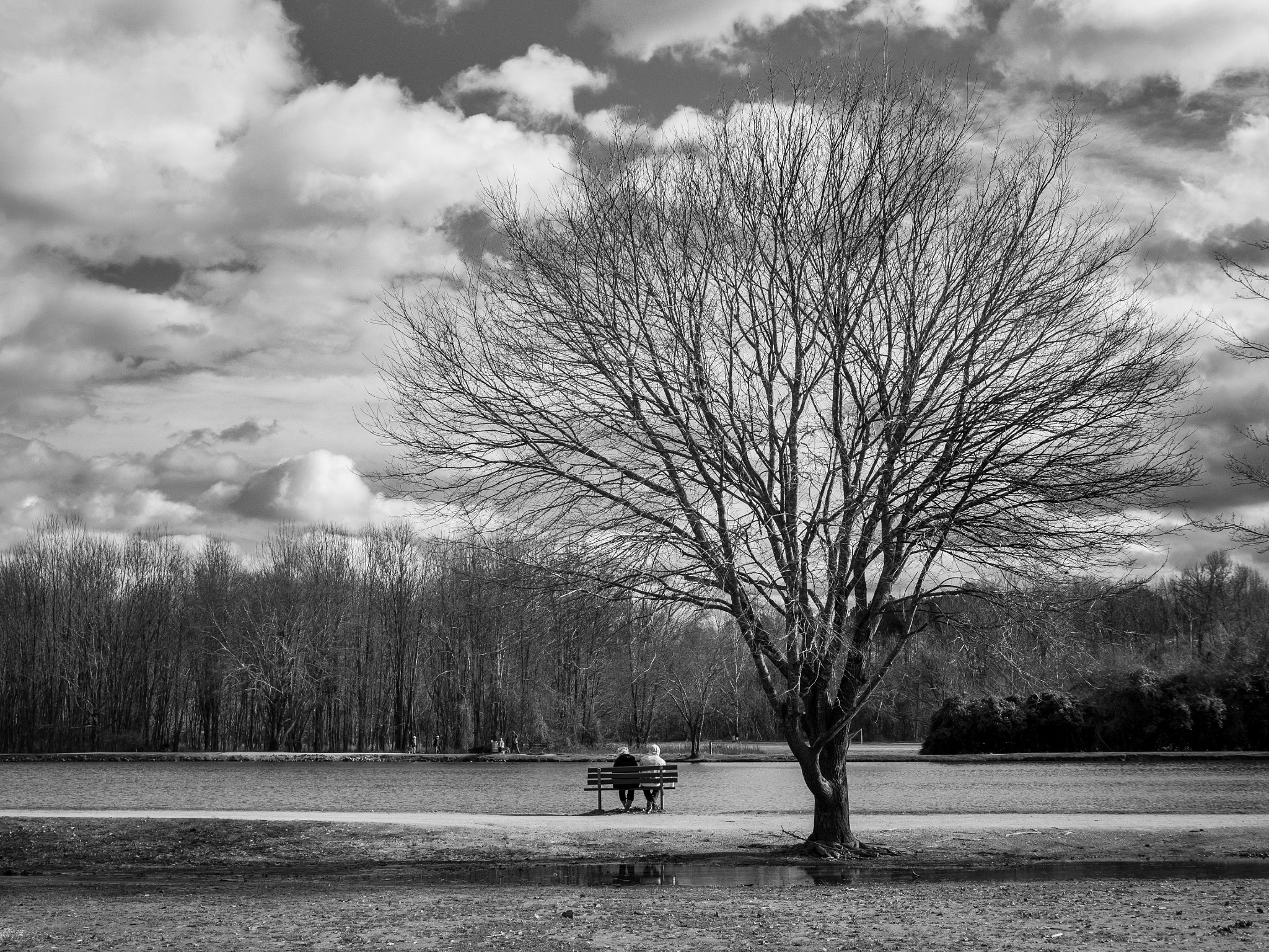 Panasonic Lumix DMC-G5 + Panasonic Leica DG Summilux 25mm F1.4 II ASPH sample photo. Couple in the park photography