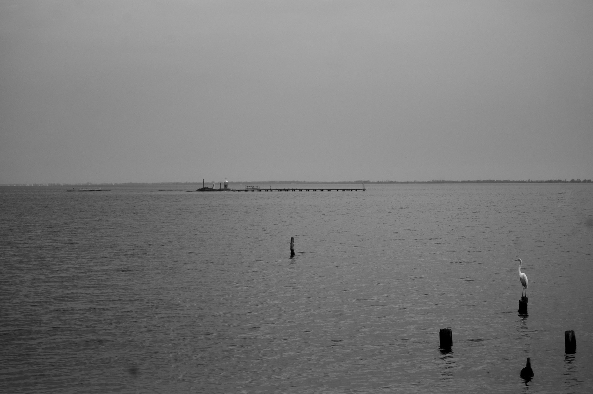 Nikon D50 sample photo. Zrzrzrzz photography