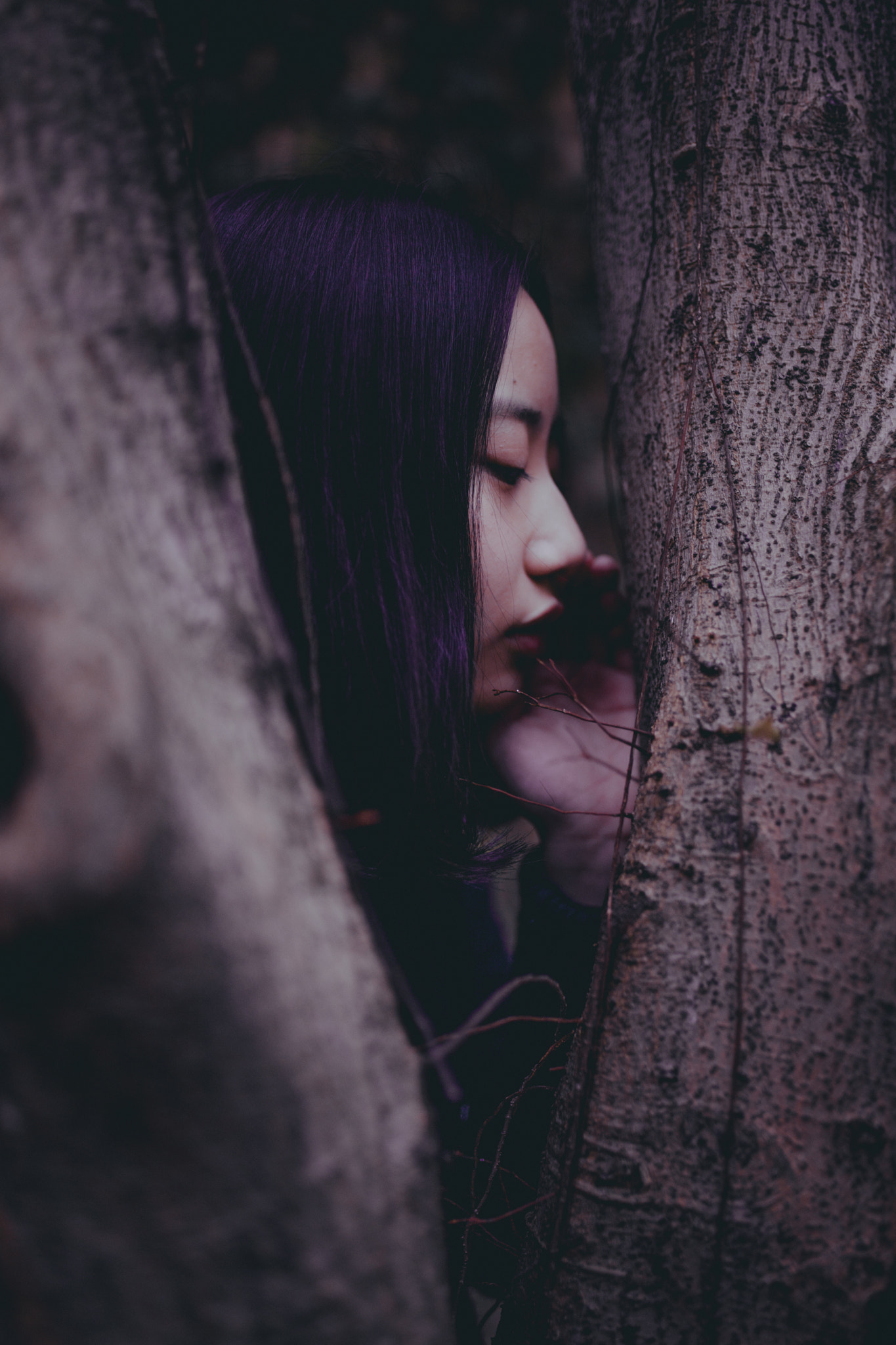 Sony a7 + Sigma 35mm F1.4 DG HSM Art sample photo