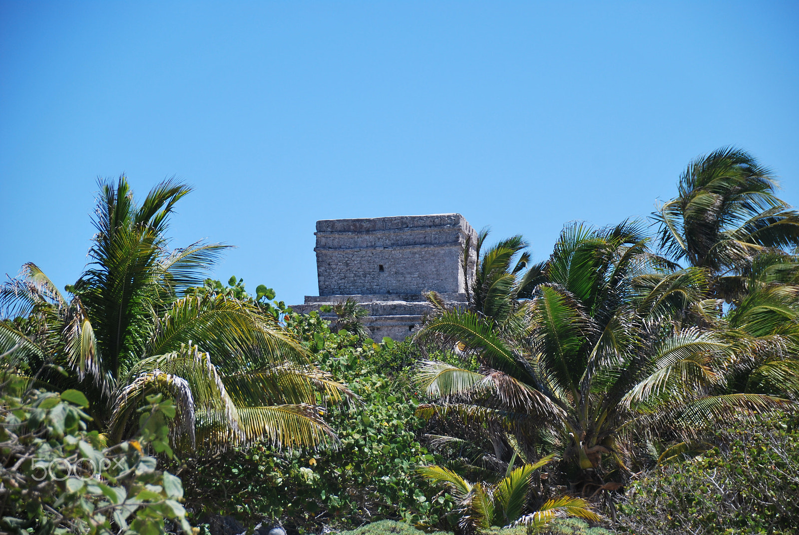 Sigma 18-250mm F3.5-6.3 DC Macro OS HSM sample photo. Tulum photography