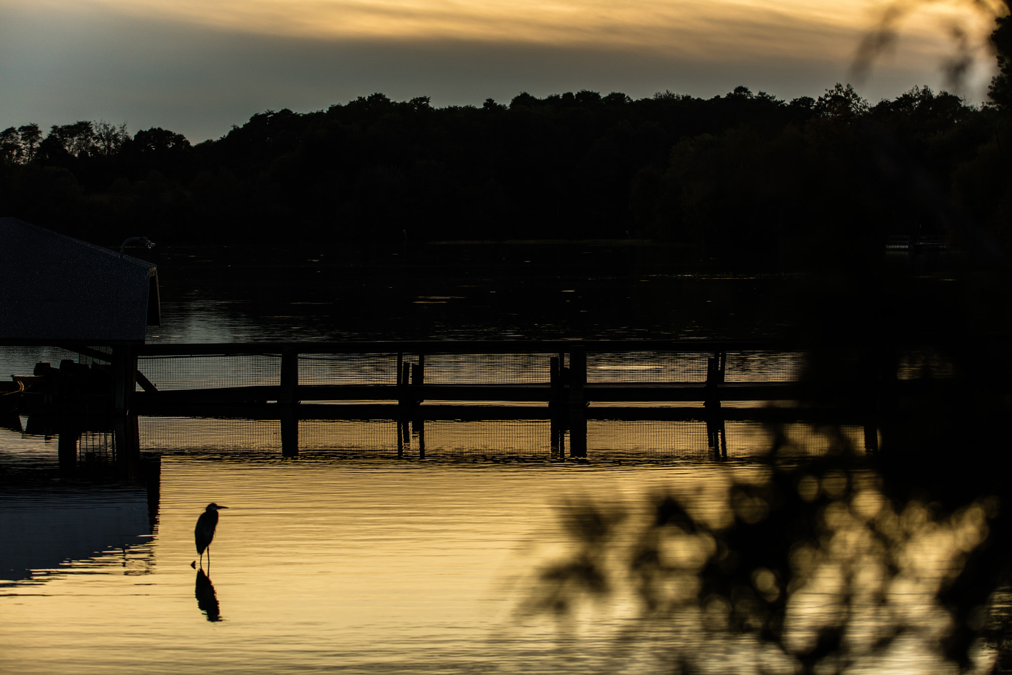 Sigma 150-600mm F5-6.3 DG OS HSM | C sample photo. Serene sunset photography
