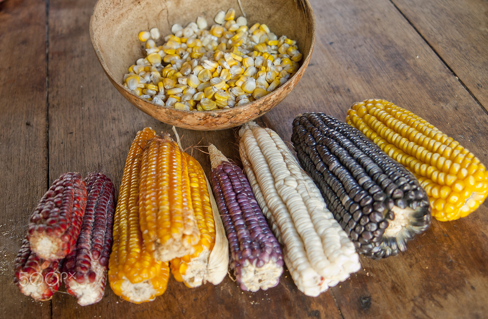 Nikon D50 sample photo. Diversidad de maíz / corn diversity photography
