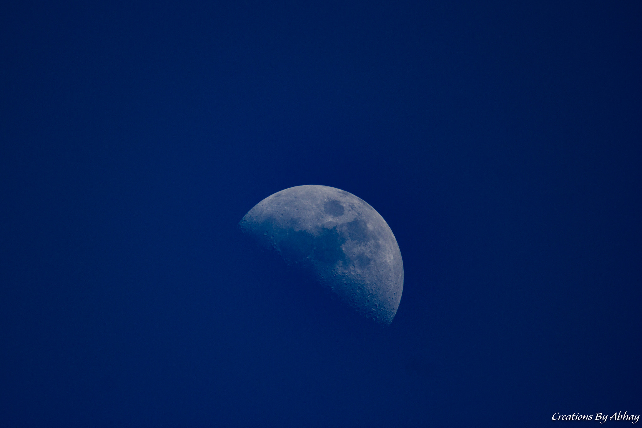 Sigma 150-600mm F5-6.3 DG OS HSM | C sample photo. Blue moon photography