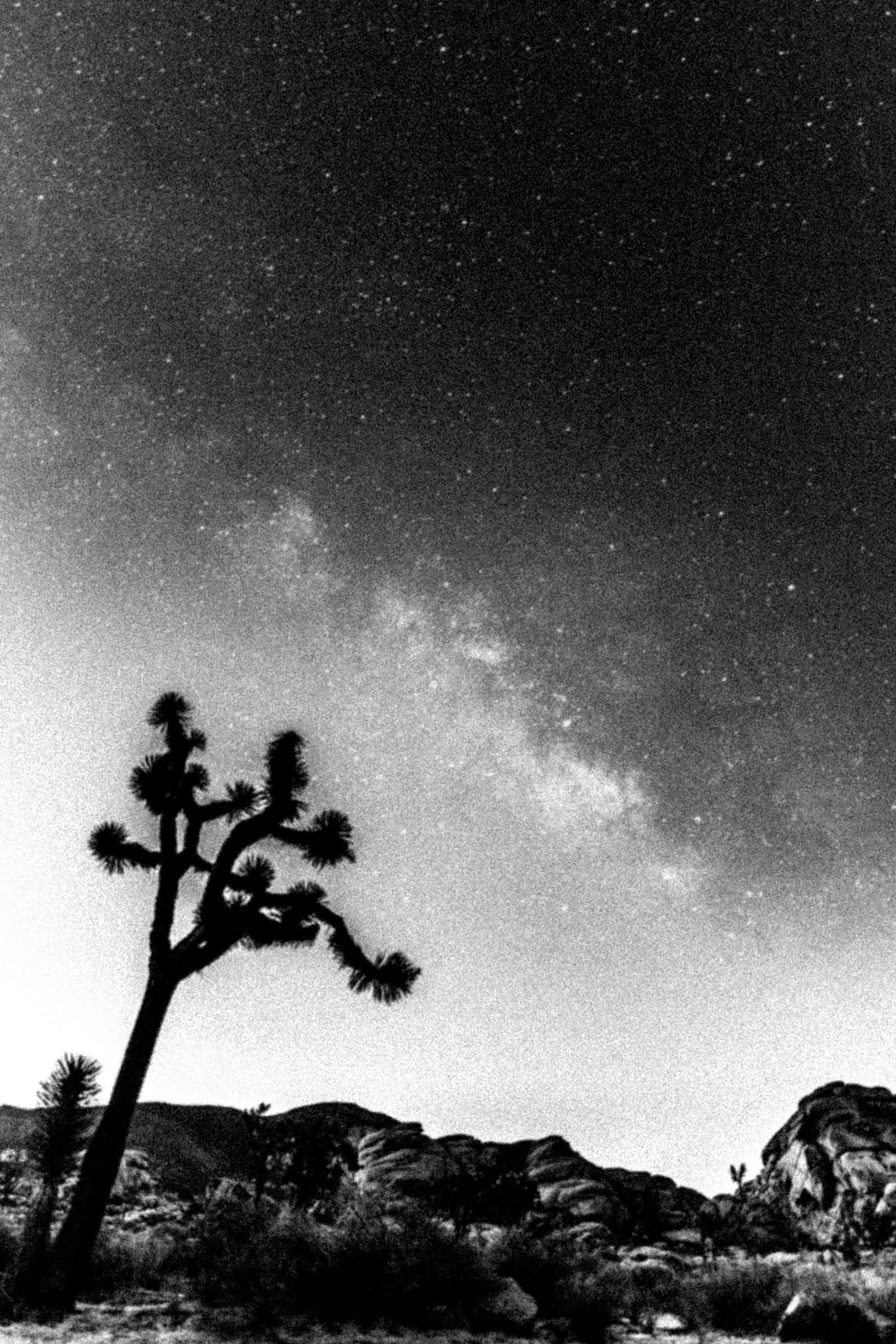Nikon D7100 + Samyang 16mm F2 ED AS UMC CS sample photo. Milkyway back in the days photography