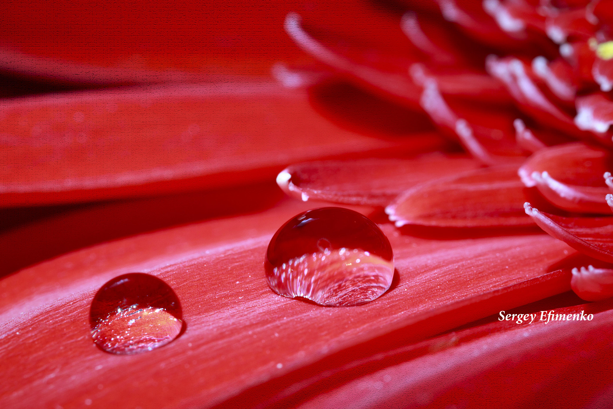 Sigma 105mm F2.8 EX DG OS HSM sample photo. Drops photography