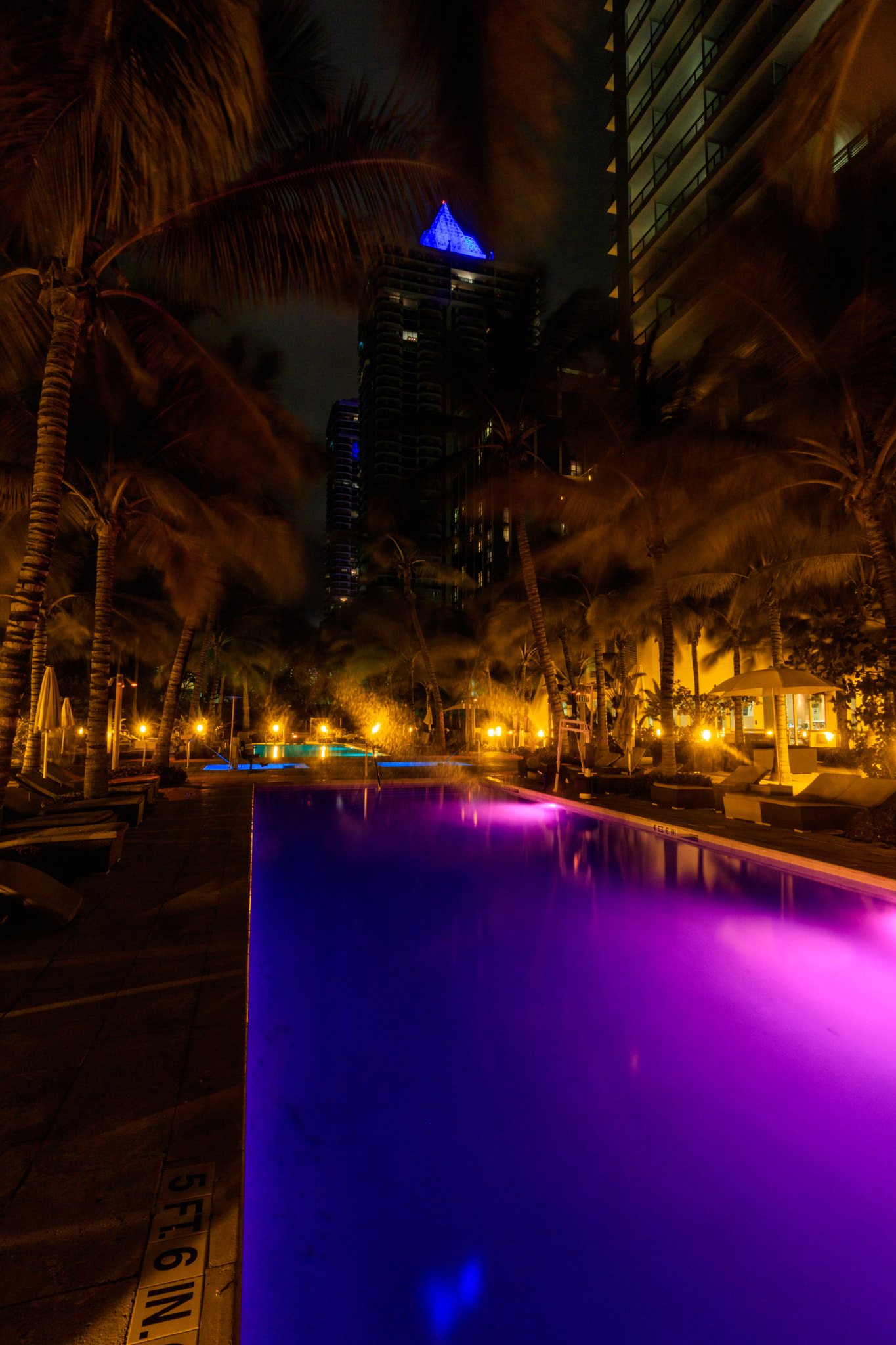 Canon EF-S 10-18mm F4.5–5.6 IS STM sample photo. In a pool of purple photography