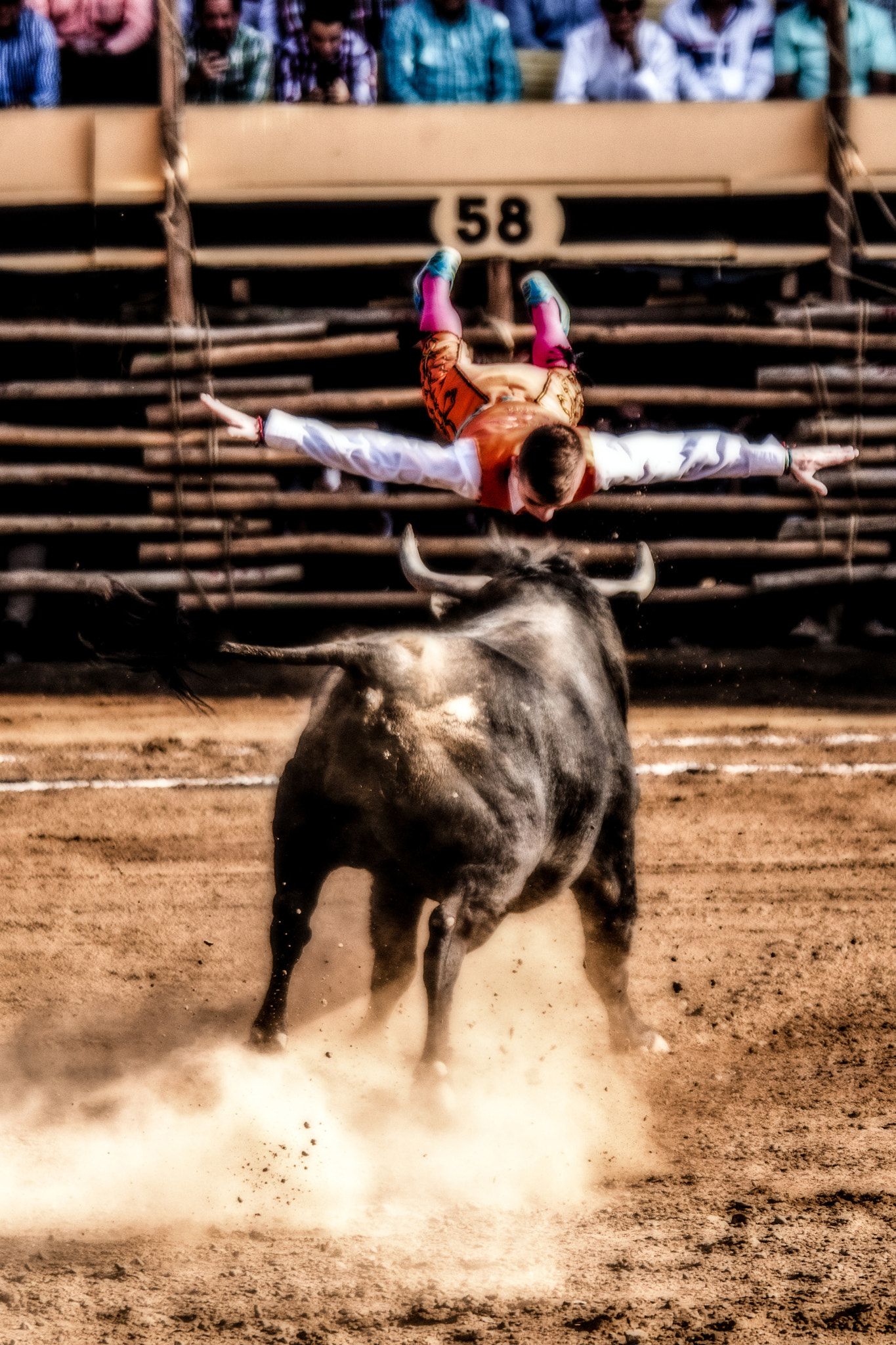 Canon EF 70-200mm F4L IS USM sample photo. Recortador photography