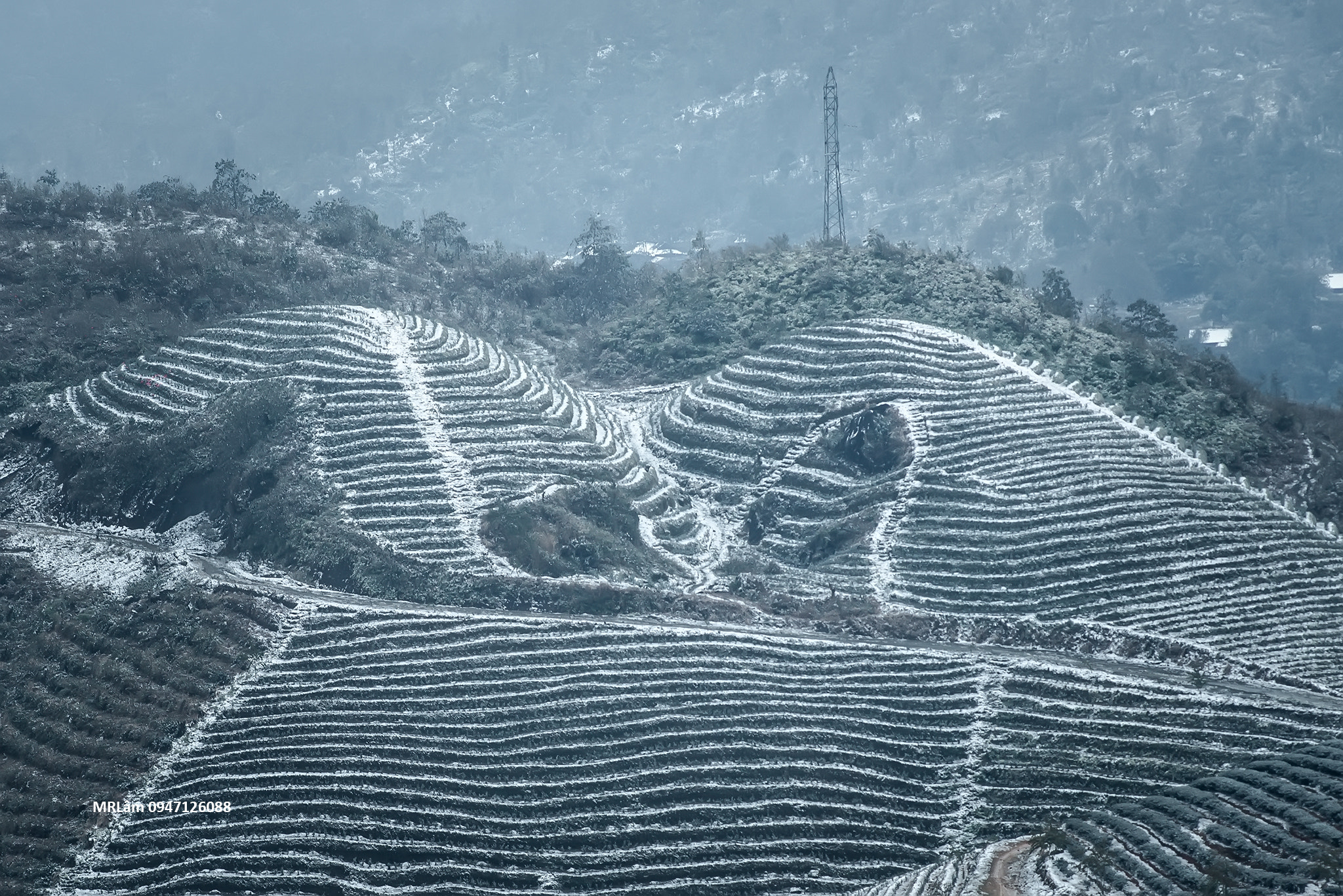 AF Zoom-Nikkor 80-200mm f/2.8 ED sample photo. Snow in sapa - viet nam photography