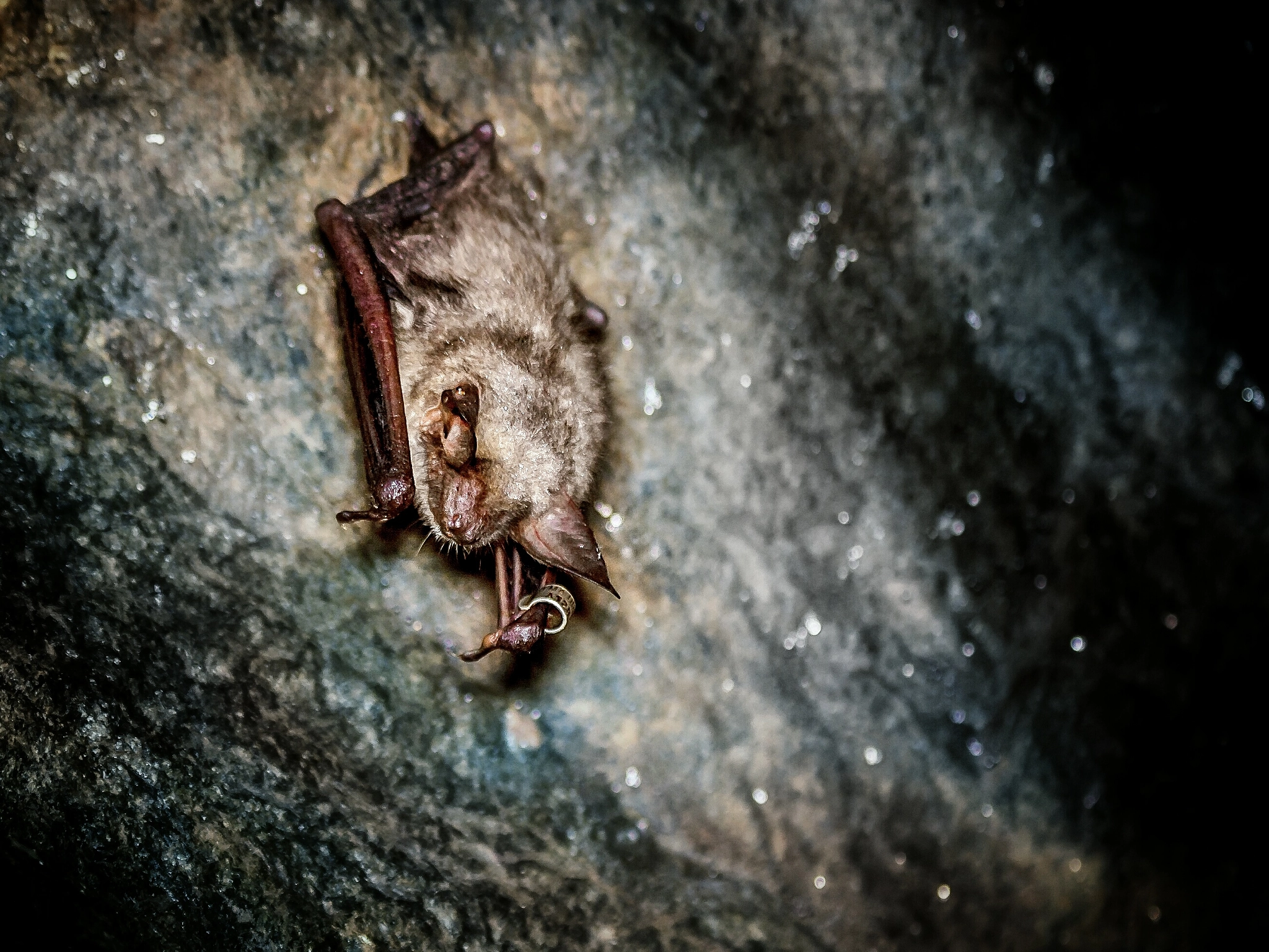 Canon EF 28-90mm f/4-5.6 USM sample photo. Batman in the underground  photography