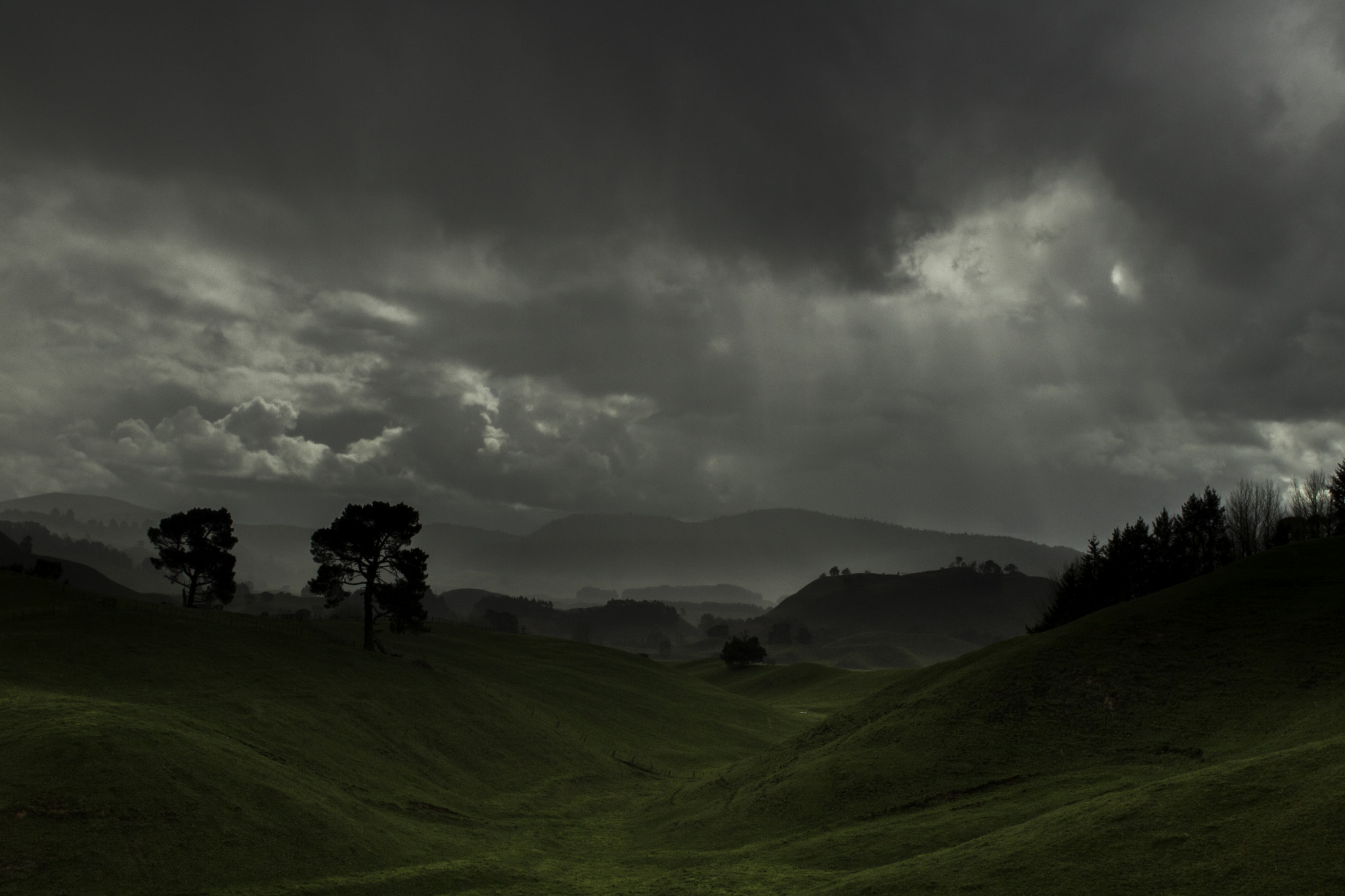 Canon EOS 760D (EOS Rebel T6s / EOS 8000D) + Canon EF 20mm F2.8 USM sample photo. Waikato, new zealand photography