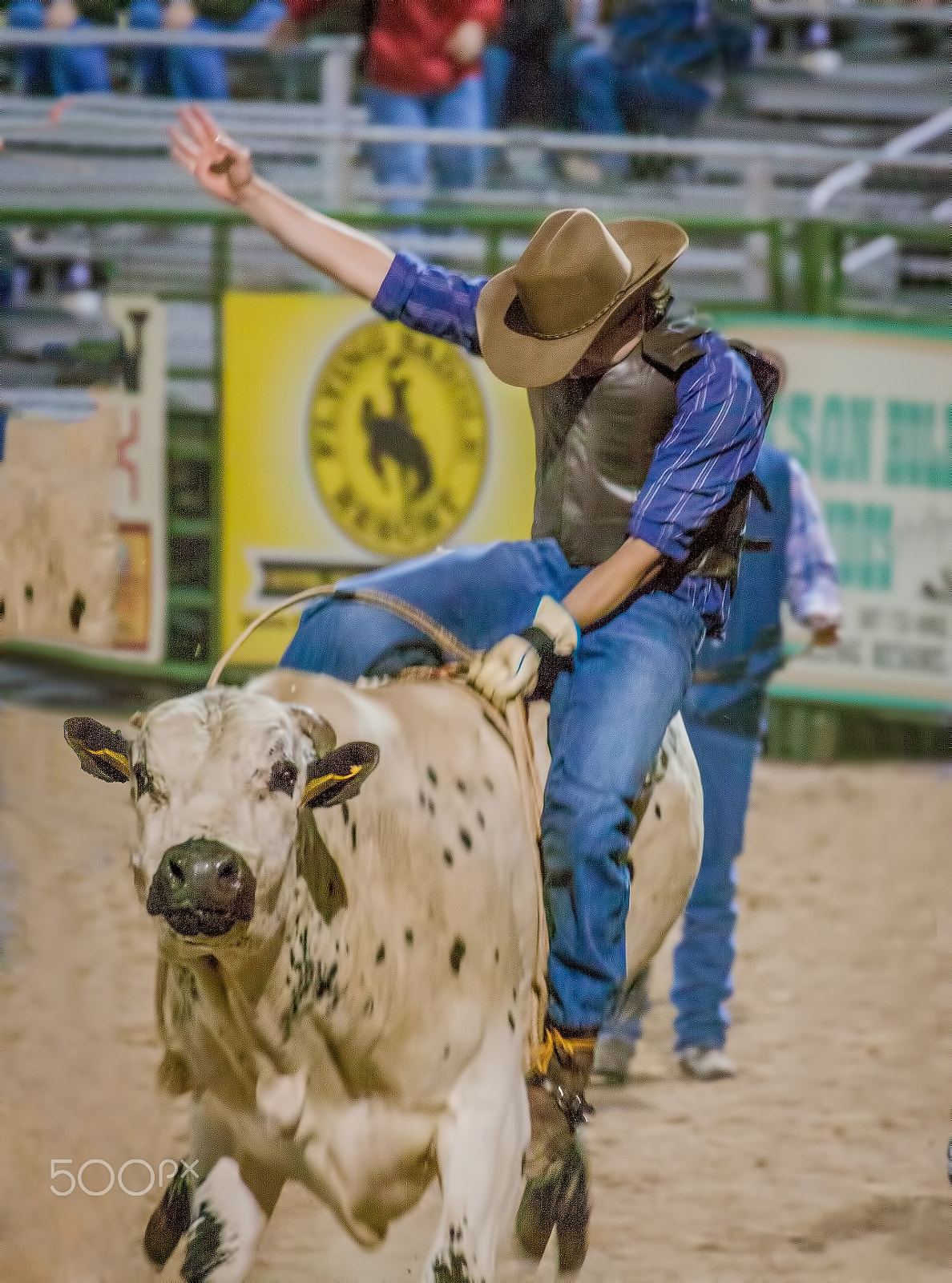Canon EF 70-300mm F4-5.6L IS USM sample photo. Ride 'em cowboy photography