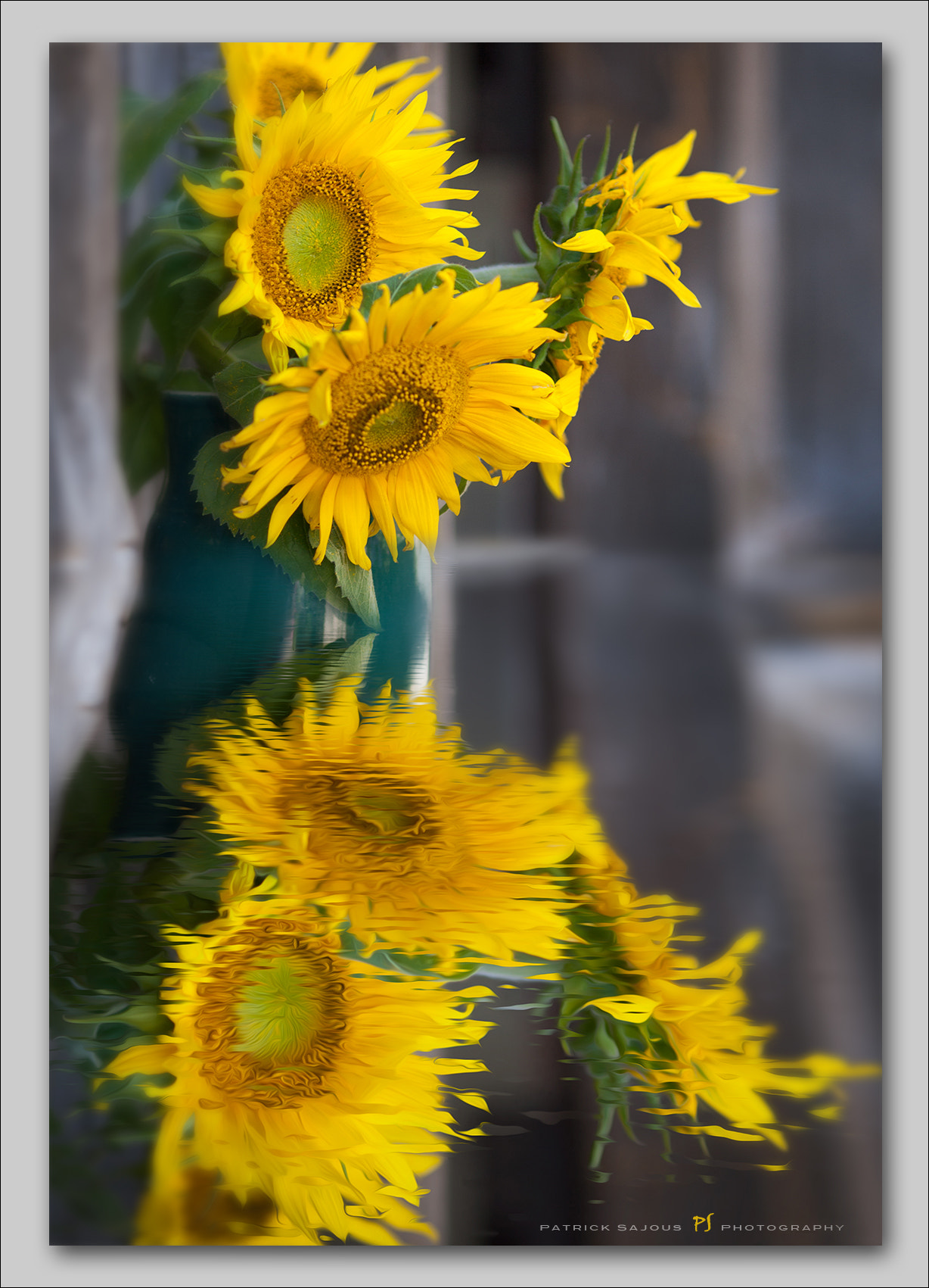 Canon EOS-1Ds Mark II + Canon EF 135mm F2L USM sample photo. Tournesol photography