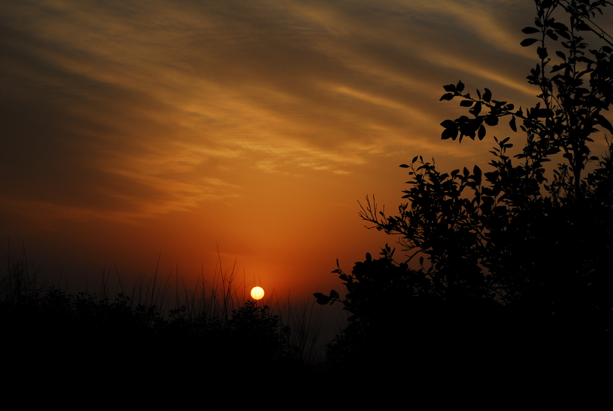 Nikon D200 sample photo. 美丽的火烧云 photography