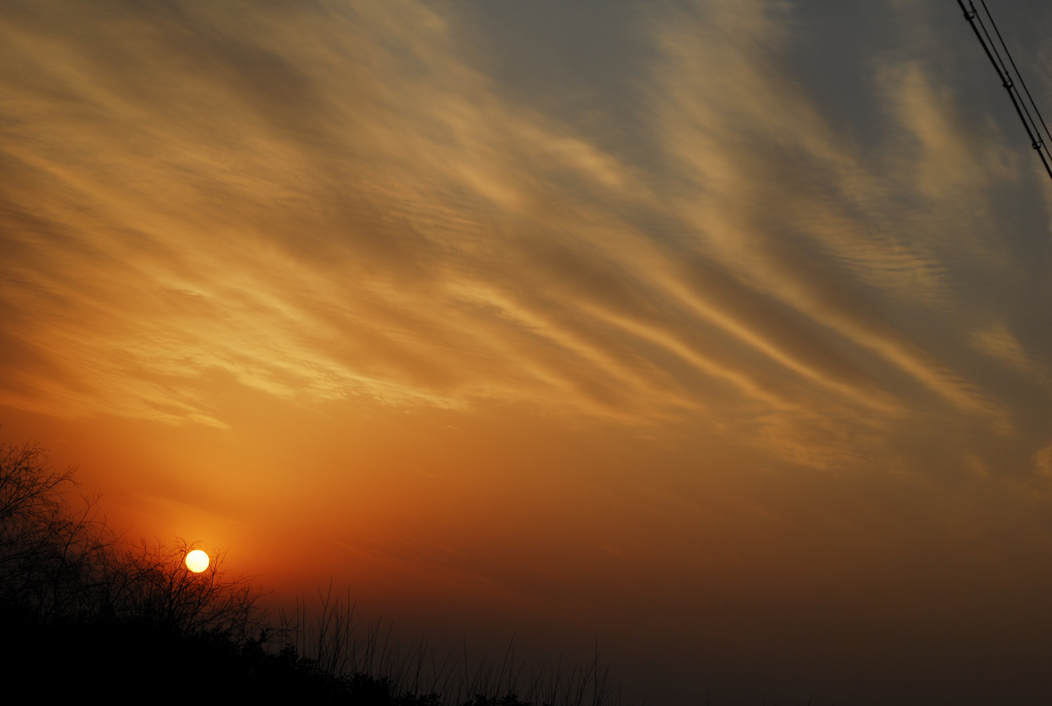 Nikon D200 sample photo