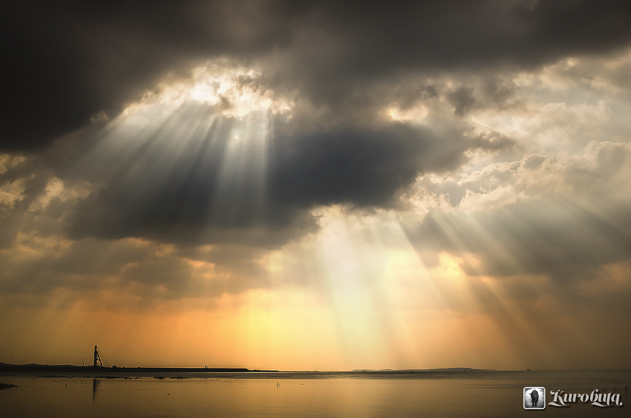 Pentax K-5 IIs sample photo. Reach the light photography
