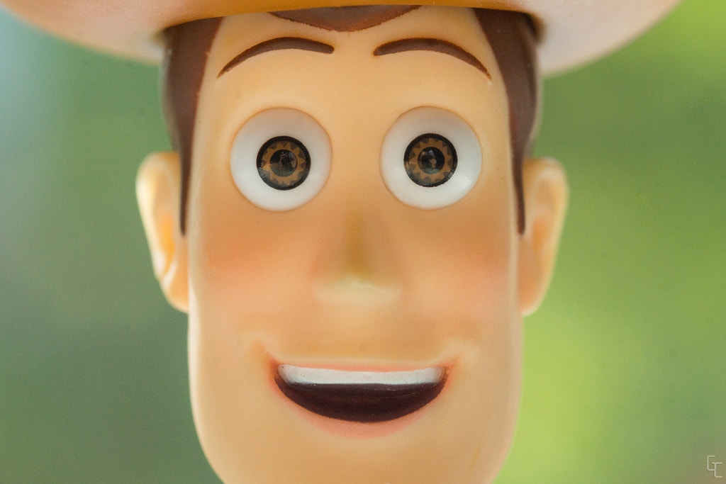 Sony SLT-A77 + Sigma 30mm F1.4 EX DC HSM sample photo. Woody's portait photography