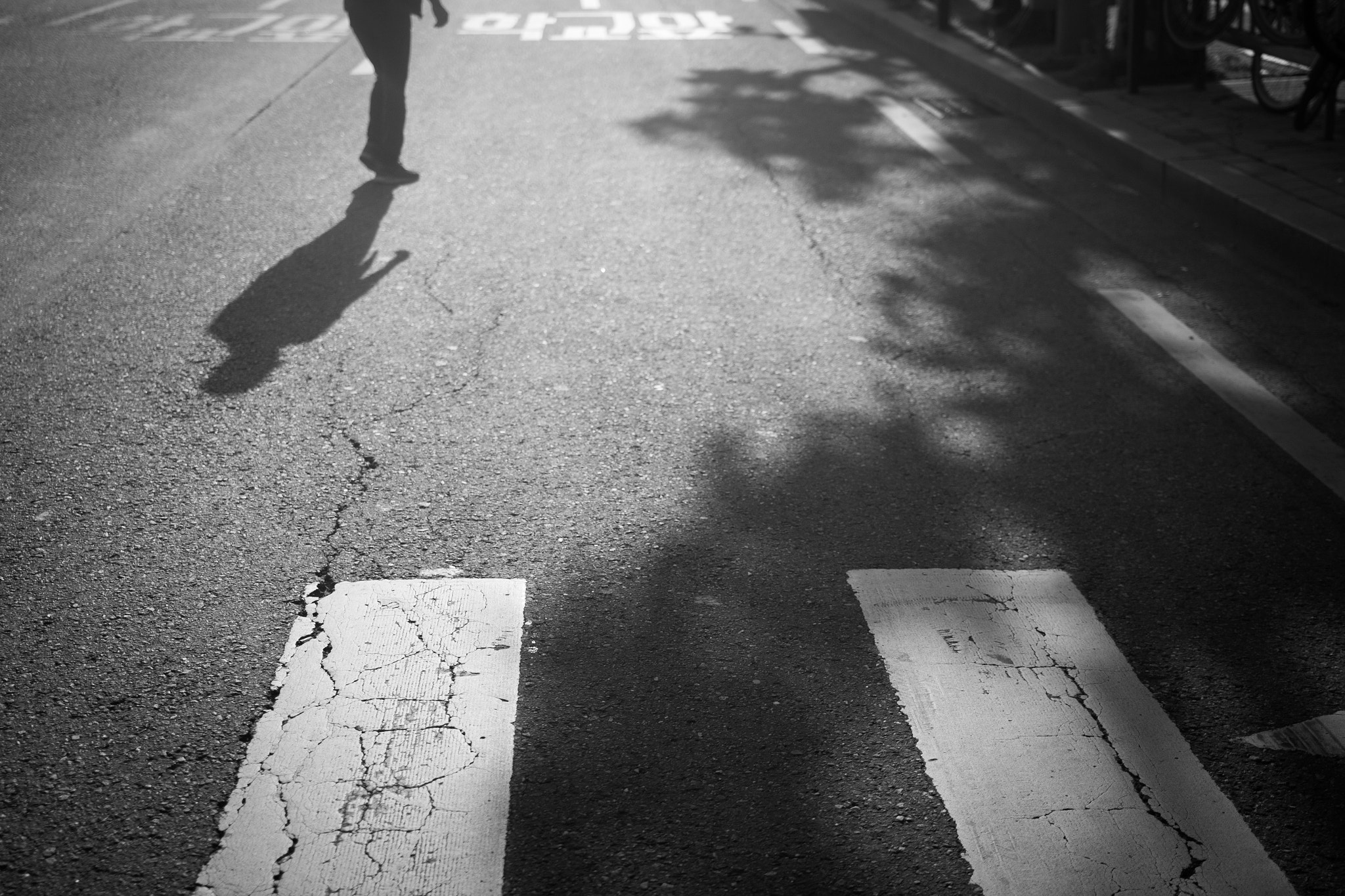 Sigma 18-35mm f/1.8 DC HSM sample photo. Img_4370_1.jpg photography