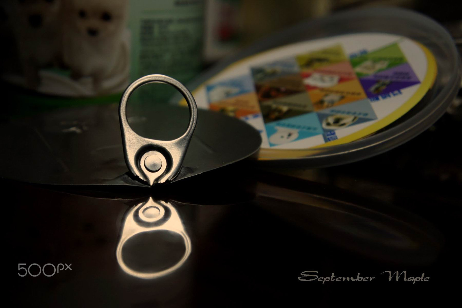 Sony NEX-5C sample photo. 宠物食品 photography