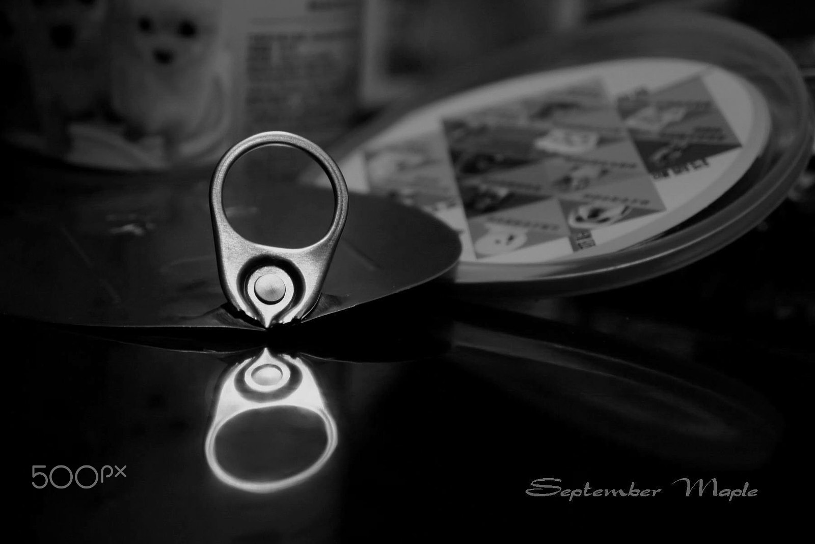 Sony NEX-5C sample photo. 宠物食品 (黑白) photography