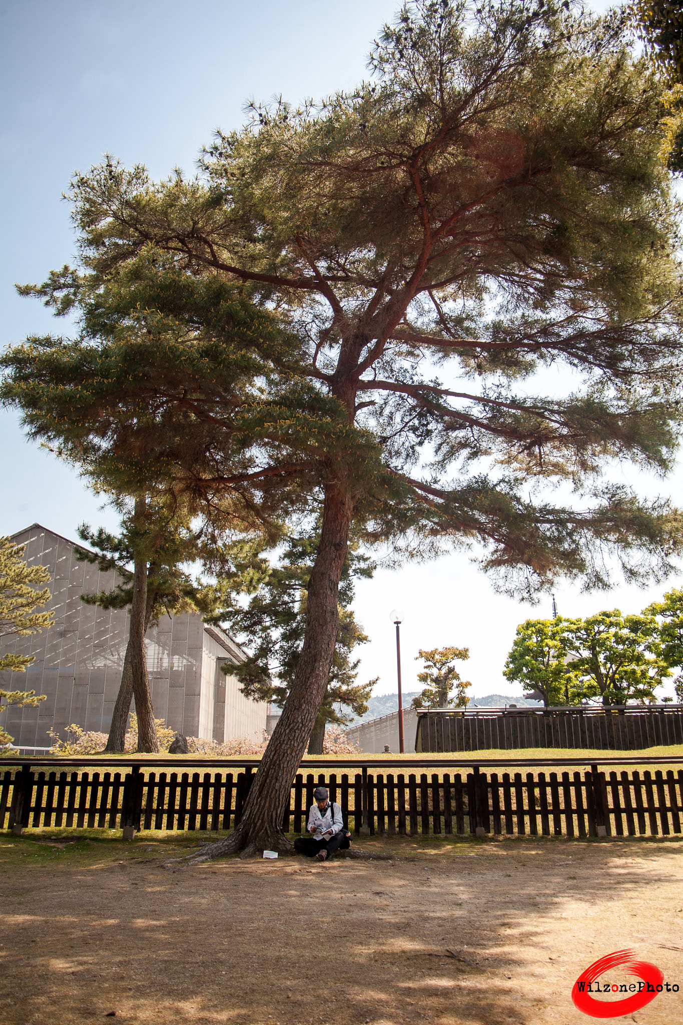 Tamron AF 19-35mm f/3.5-4.5 sample photo. Nara 36 photography