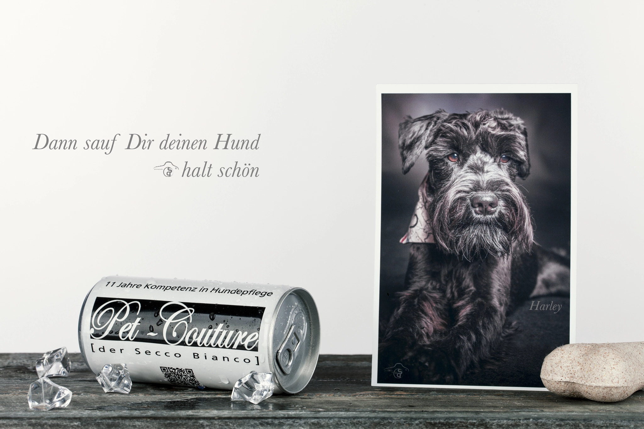 Canon EOS-1Ds Mark III sample photo. Pet couture photography