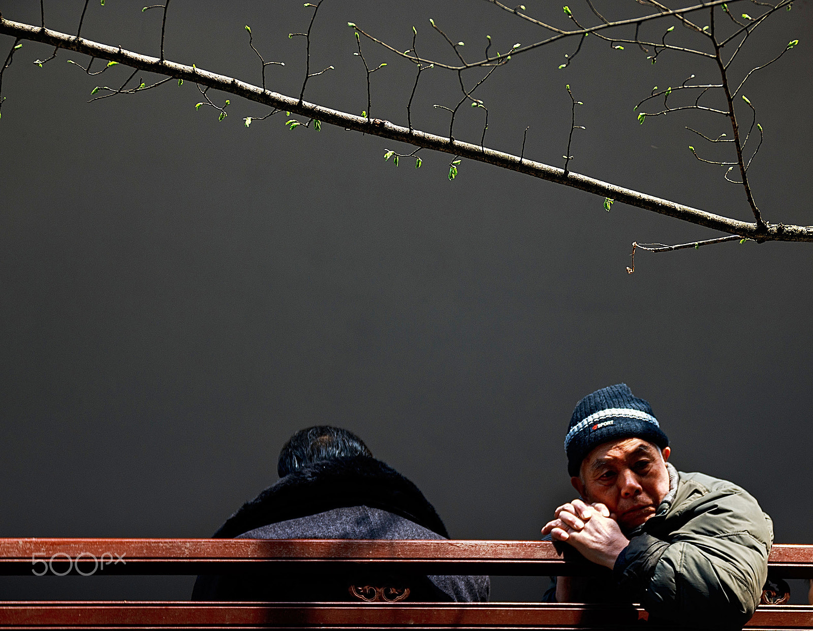 Canon EOS 70D + Canon EF 500mm F4L IS USM sample photo. Thinking. photography
