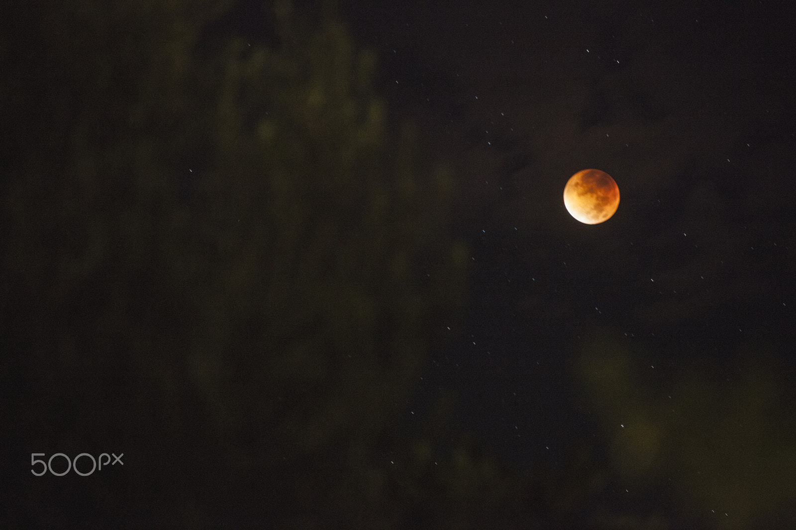 Canon EOS 5D Mark II + Canon EF 100-300mm F4.5-5.6 USM sample photo. Moon eclipse photography