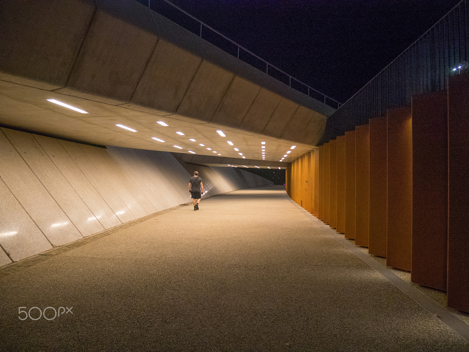 Panasonic DMC-GM1S sample photo. Walker pato photography