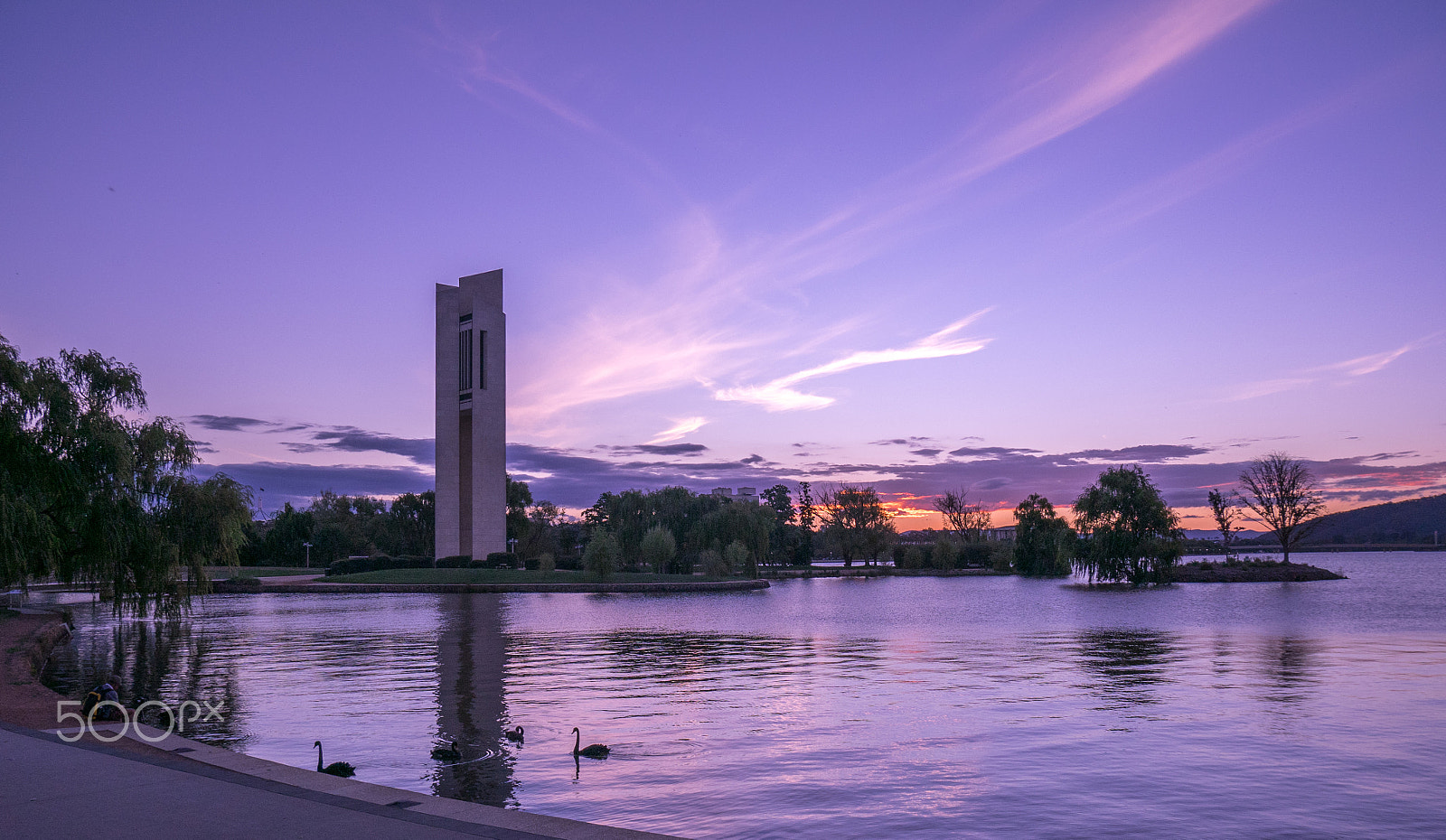 Panasonic DMC-GM1S sample photo. Swans of burley griffin photography