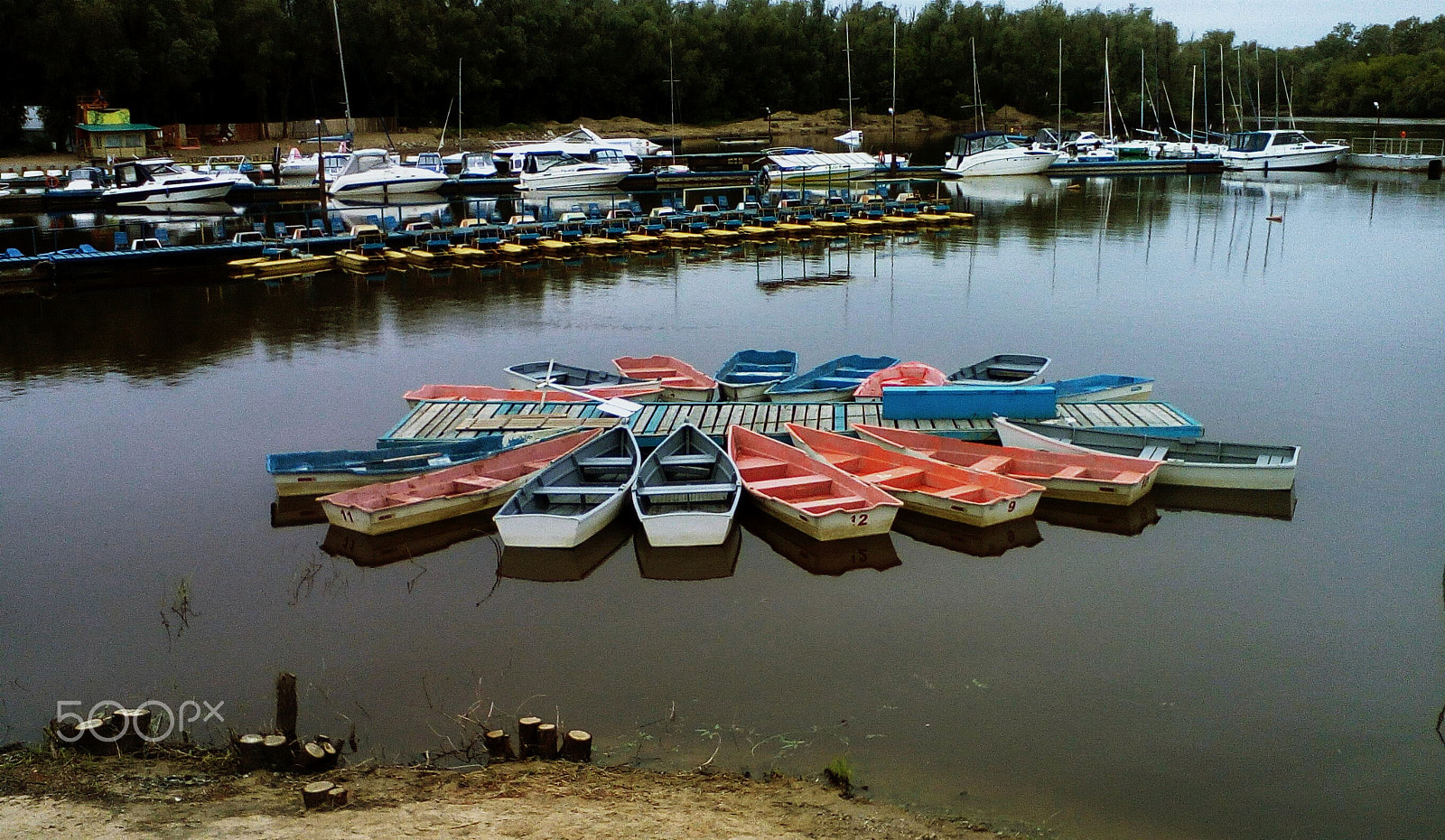 ZTE BLADE Q LUX sample photo. Water flower photography