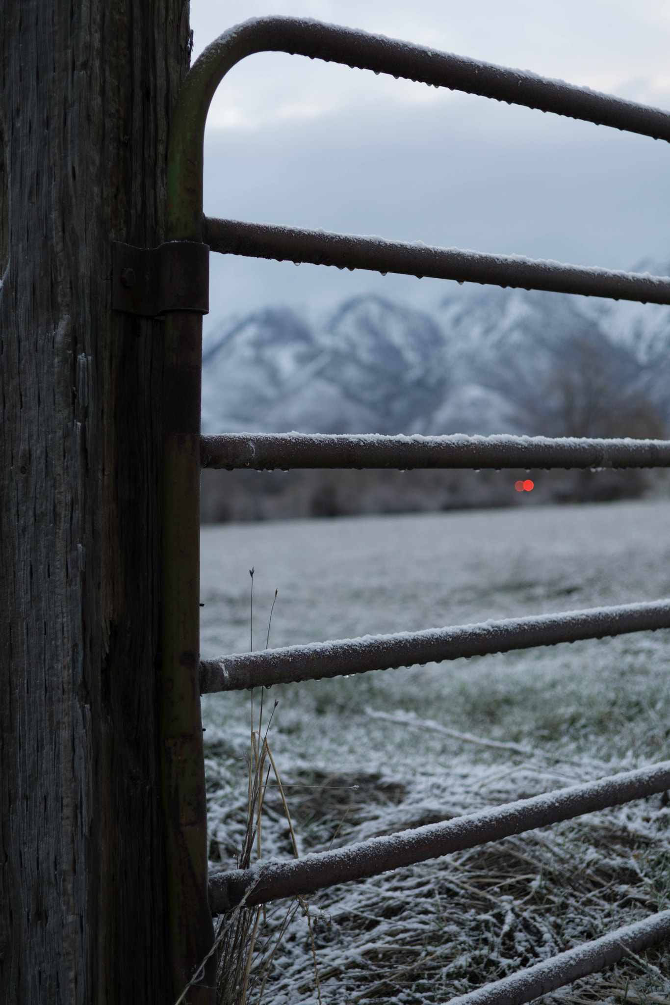 E 32mm F1.8 sample photo. Country frost photography