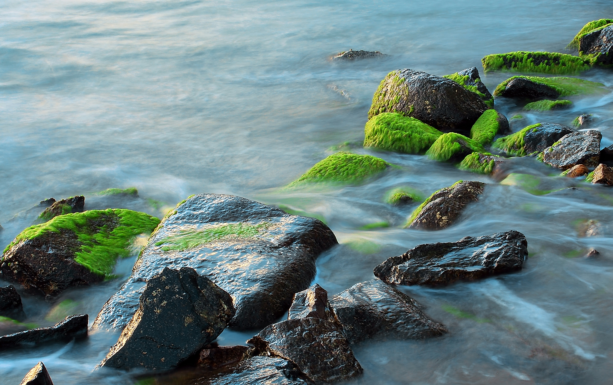 Canon EF 28-80mm f/3.5-5.6 USM sample photo. Moss and light photography