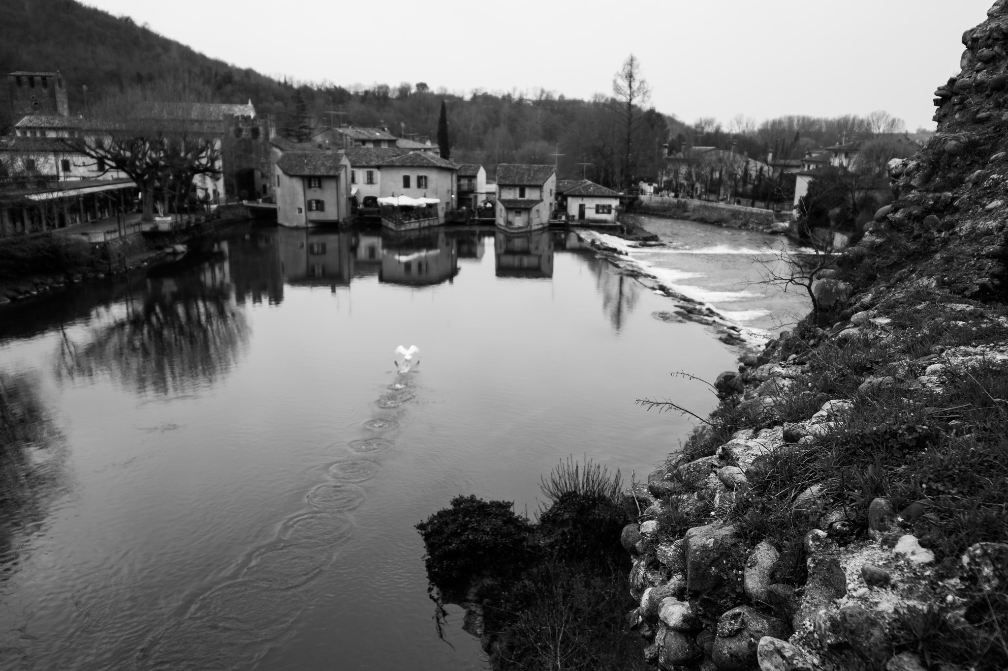 Canon EF-S 17-85mm F4-5.6 IS USM sample photo. Swan circles photography