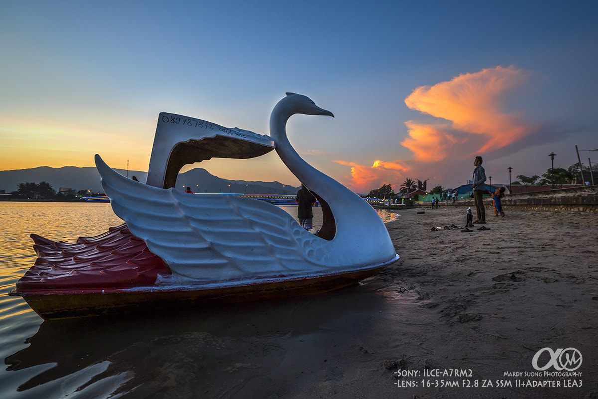 Sony Vario-Sonnar T* 16-35mm F2.8 ZA SSM II sample photo. Giant swan ! (ខេត្តកំពត) photography