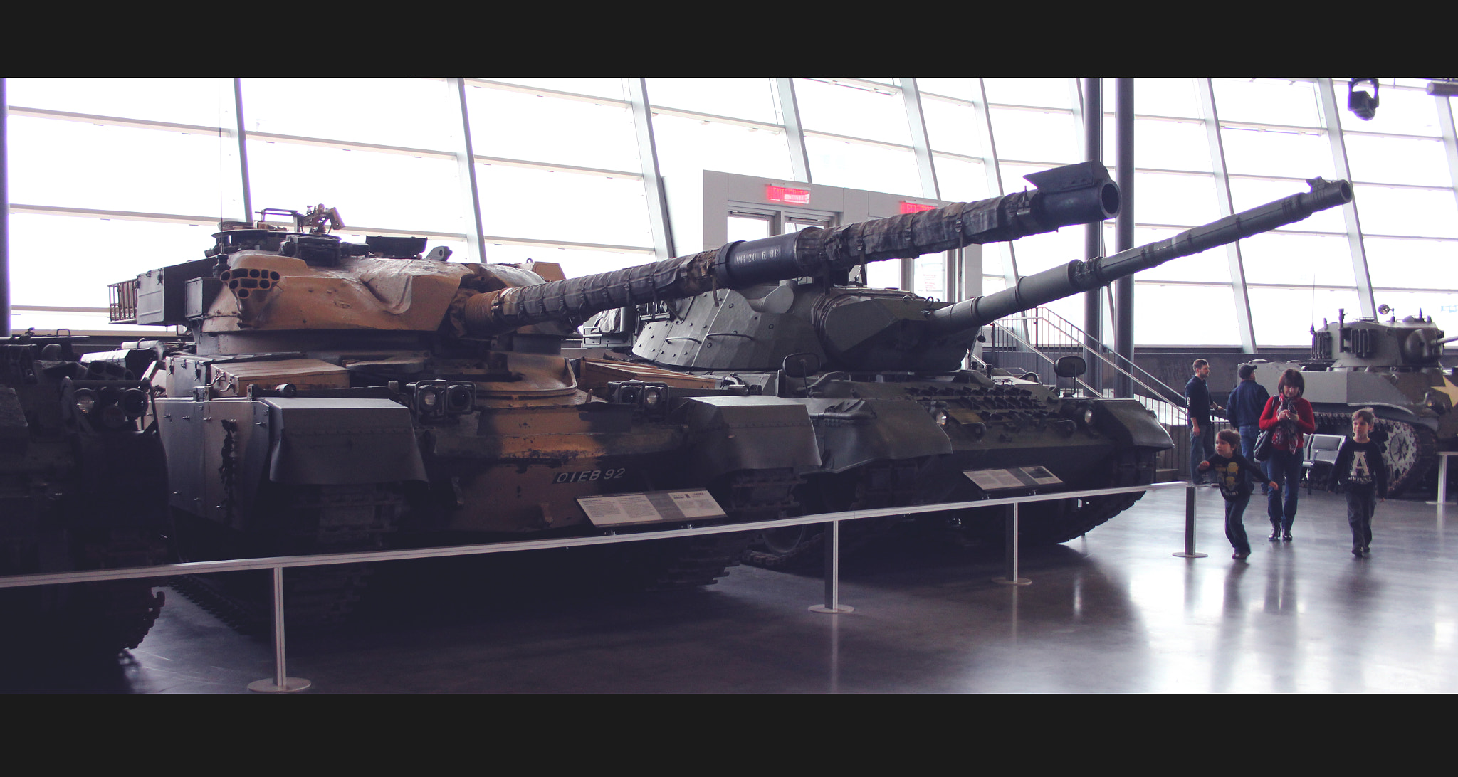 Canon EOS 550D (EOS Rebel T2i / EOS Kiss X4) sample photo. Chieftain and leopard c2 photography