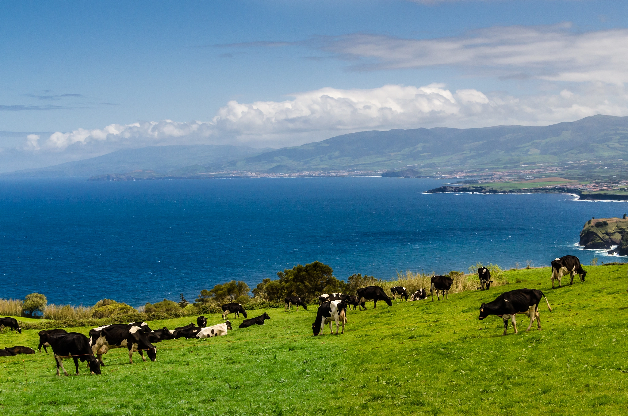 Nikon D7000 + Sigma 18-50mm F2.8 EX DC sample photo. This is azores! photography