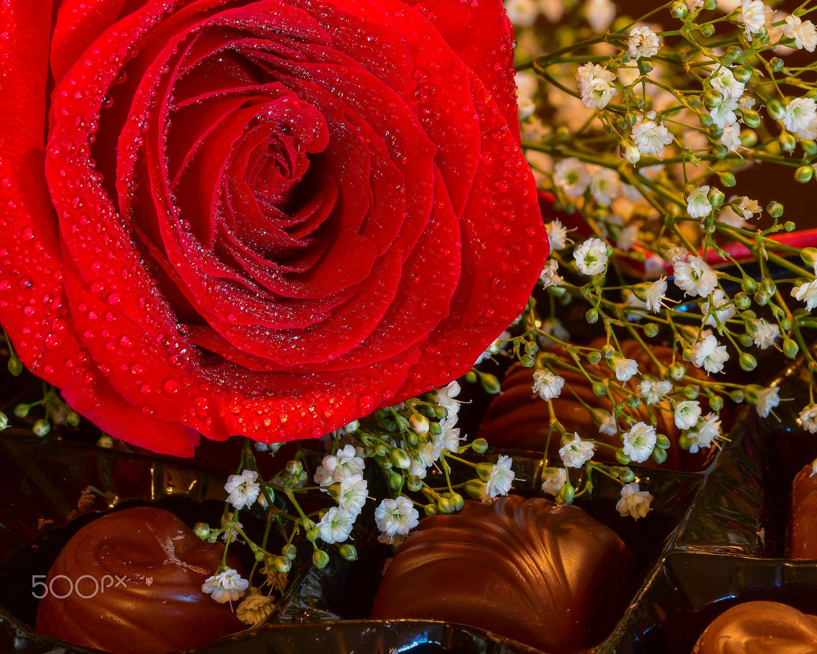 Nikon D750 + Nikon AF Micro-Nikkor 200mm F4D ED-IF sample photo. Flowers and chocolates photography