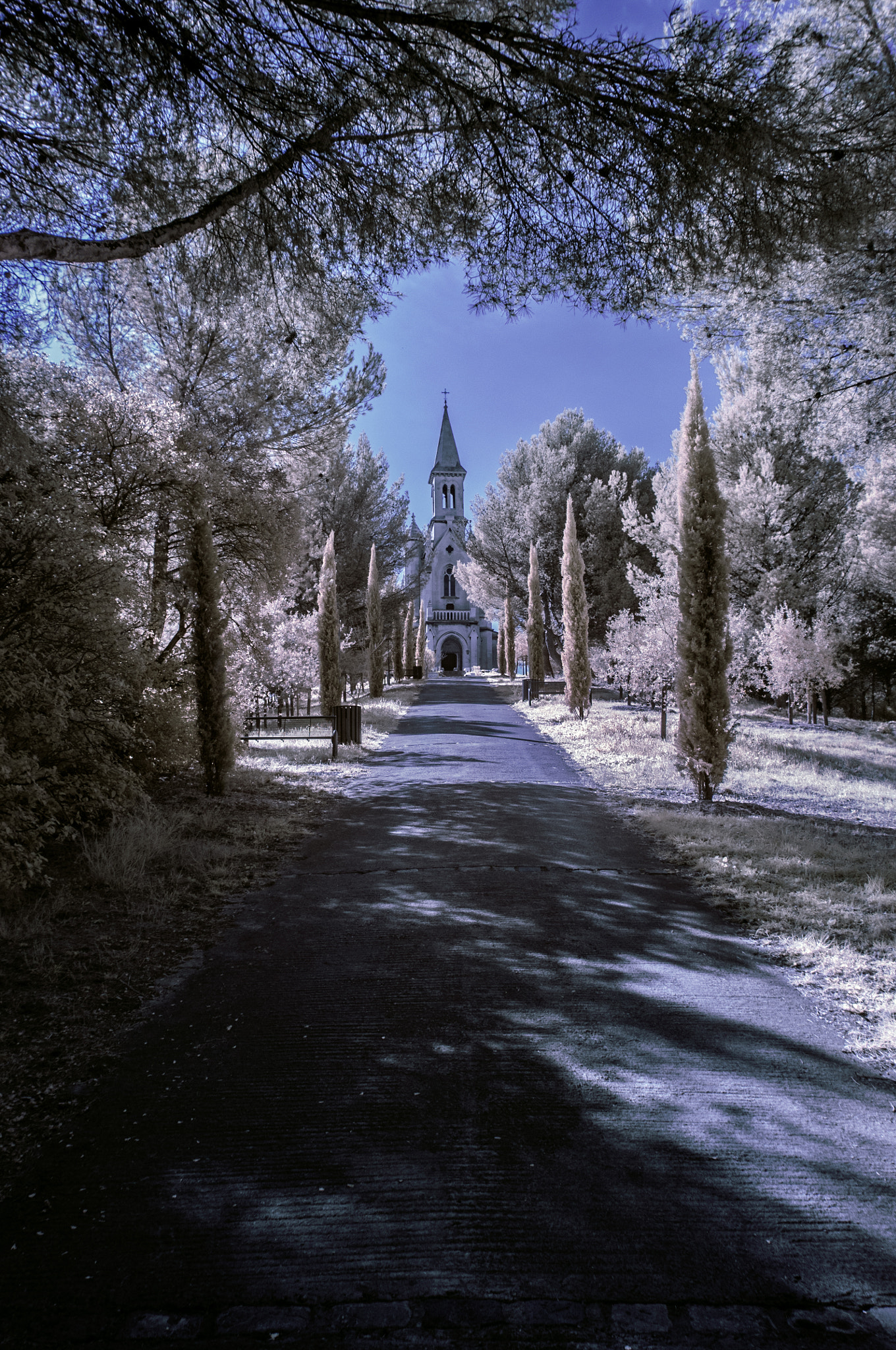 Nikon D90 + Sigma 20mm F1.8 EX DG Aspherical RF sample photo. St joseph photography
