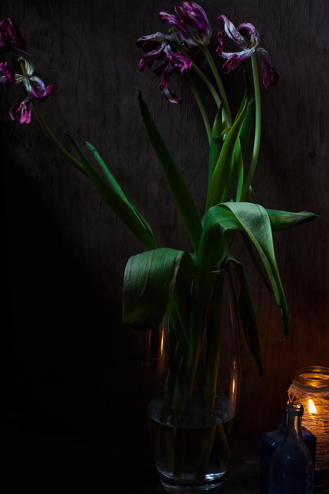 Sony a7 + Minolta AF 50mm F1.4 [New] sample photo. Nothing lasts forever photography