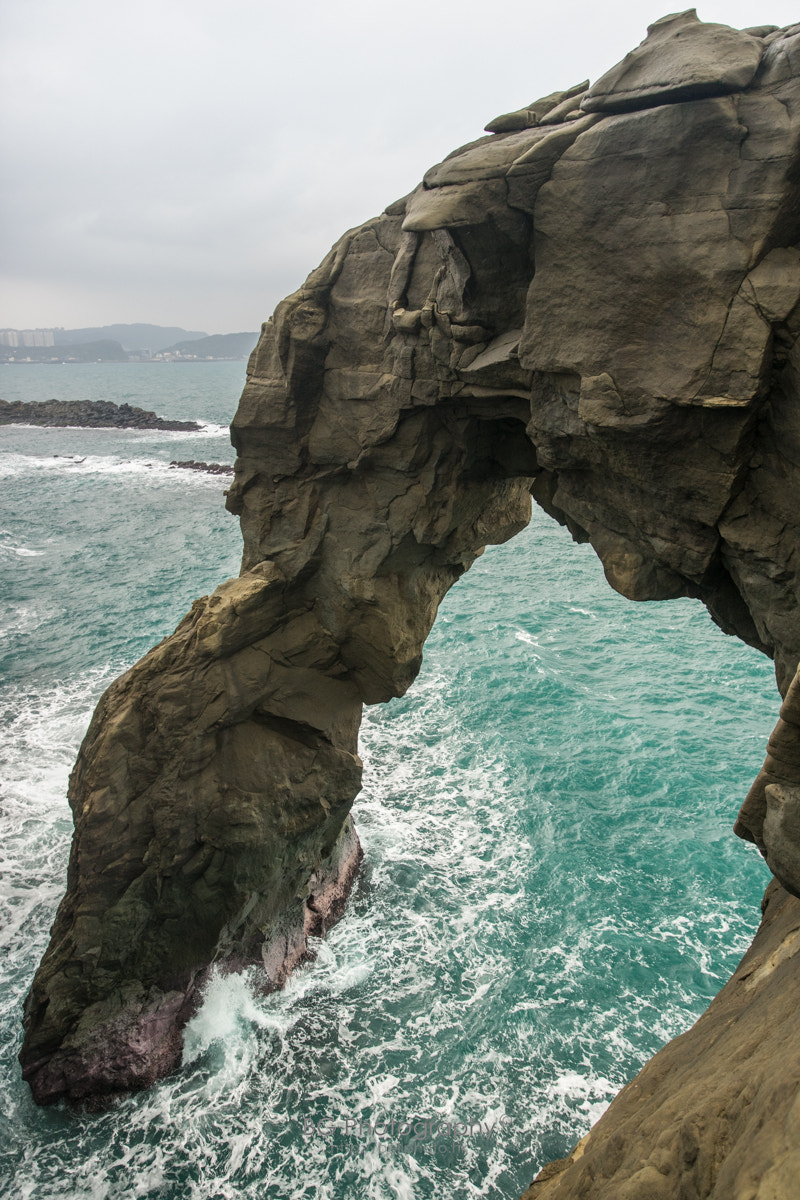 Sony a7 + Canon EF 85mm F1.2L II USM sample photo. The elephant's trunk rocks. photography