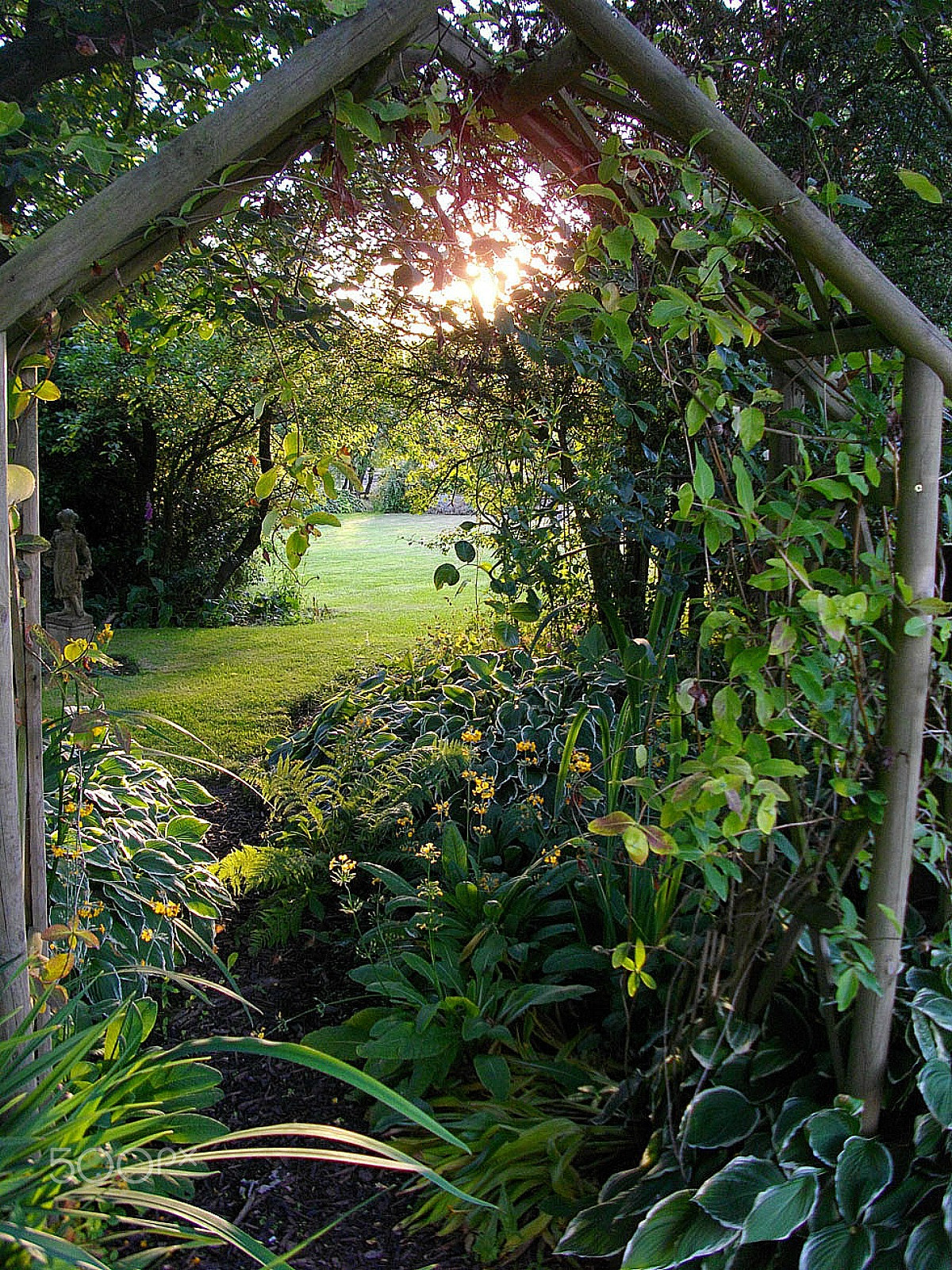 Pentax Optio E60 sample photo. Into the magic garden photography