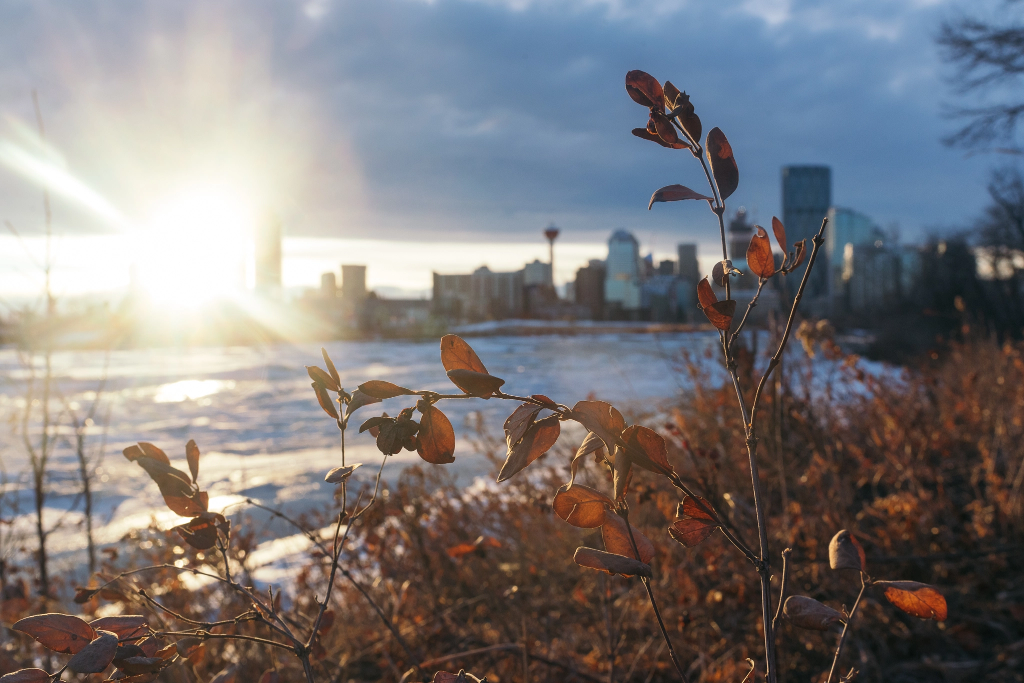Nikon D750 + AF-S Nikkor 35mm f/1.8G sample photo. Sunset in st. patrick's island park in calgary, ab, canada photography